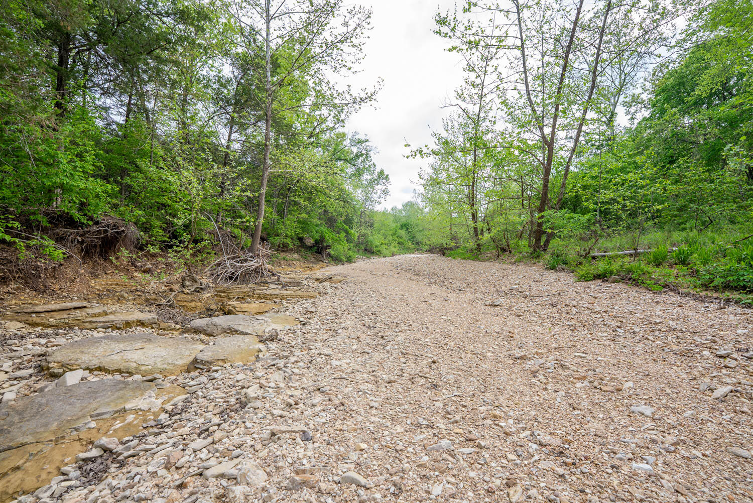 000 County Road 817 Property Photo 14