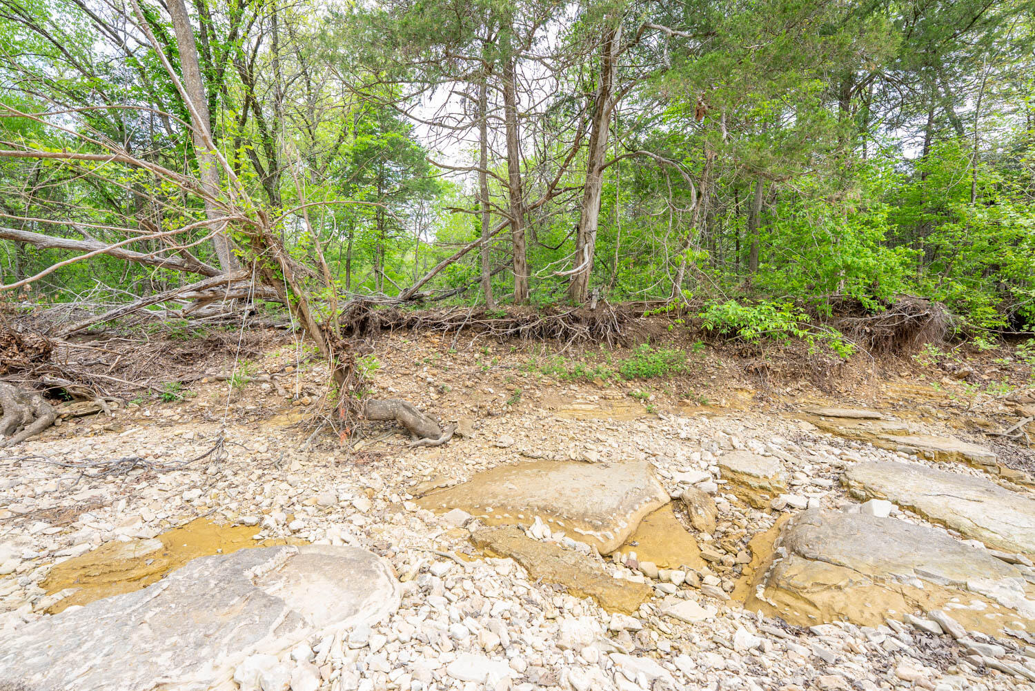 000 County Road 817 Property Photo 15