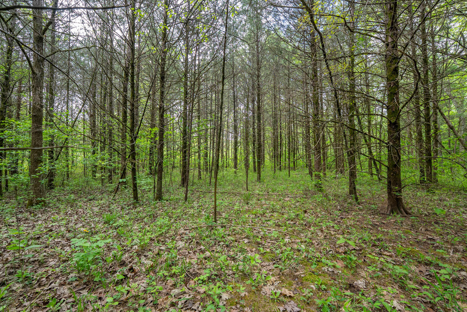 000 County Road 817 Property Photo 17