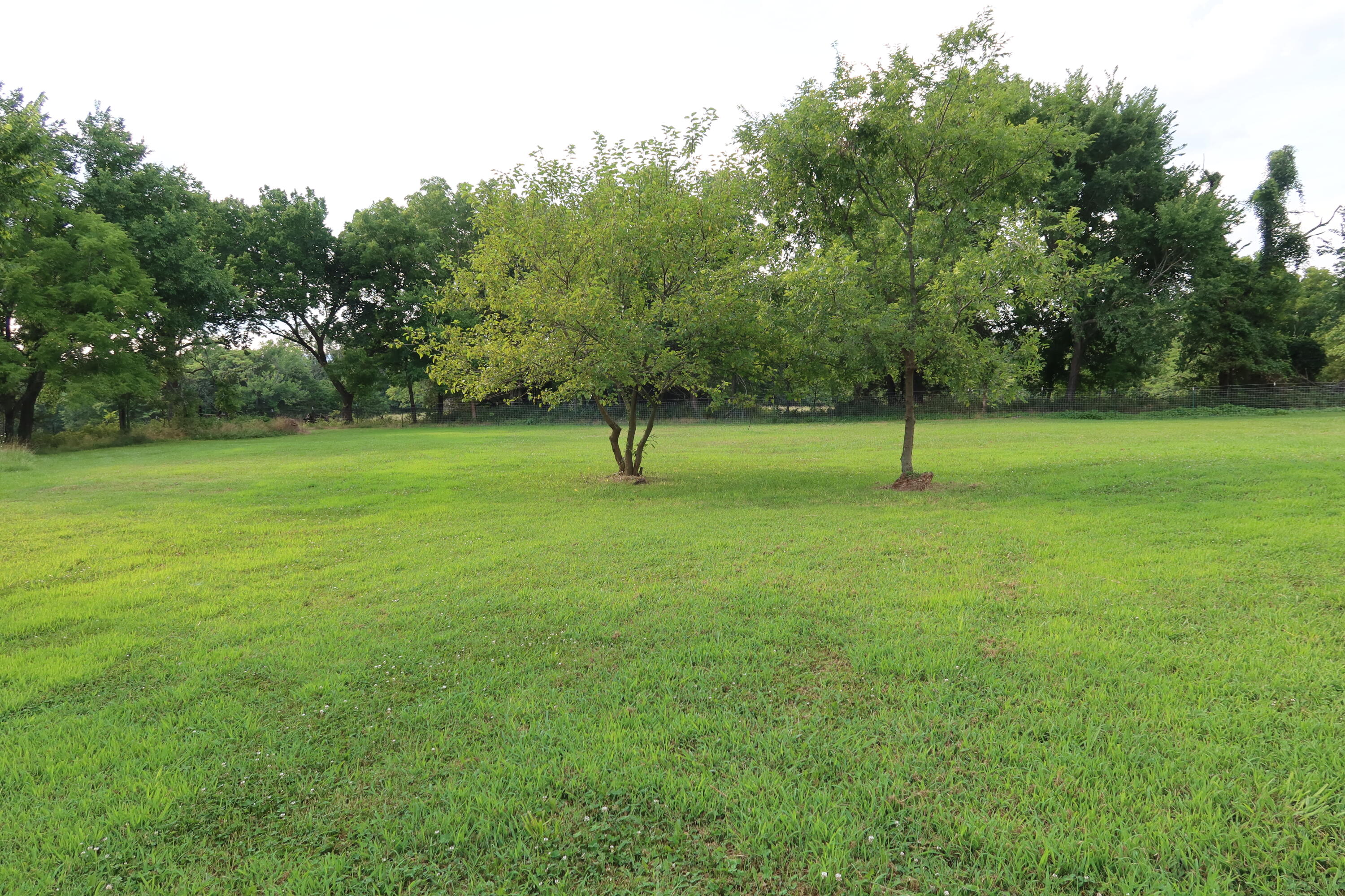 28076 Kings River Road Property Photo 8