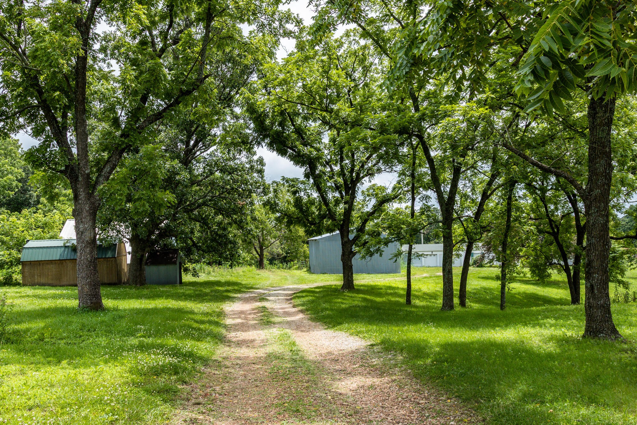1016 Carnell Road Property Photo 2