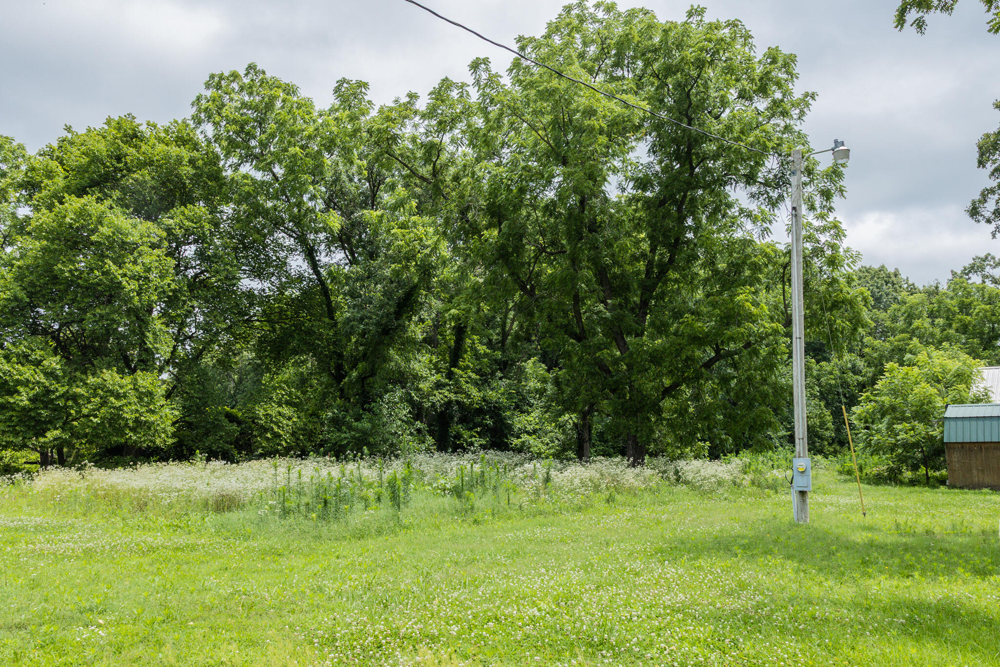 1016 Carnell Road Property Photo 28