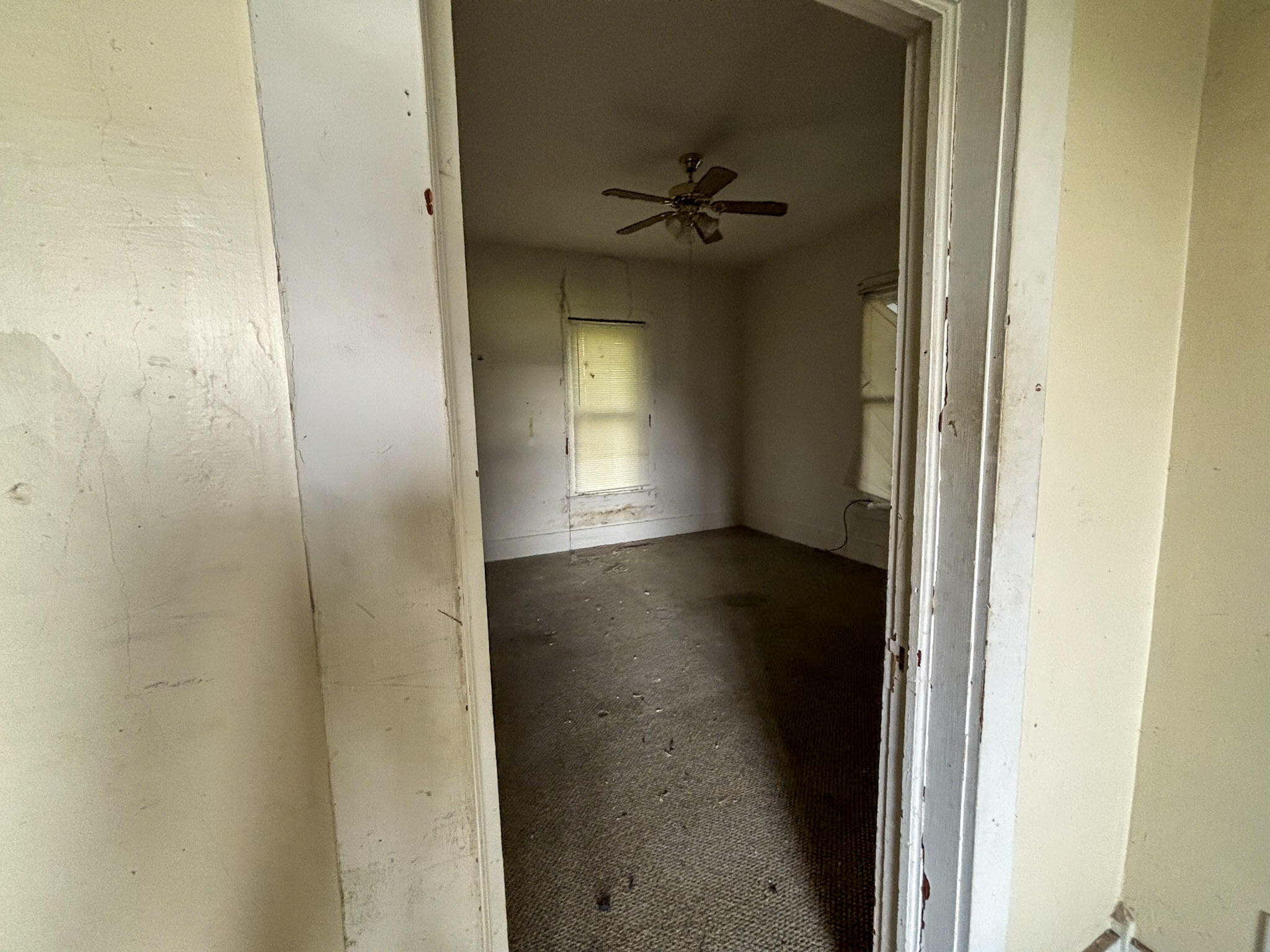 103 Pirate Lane Property Photo 13