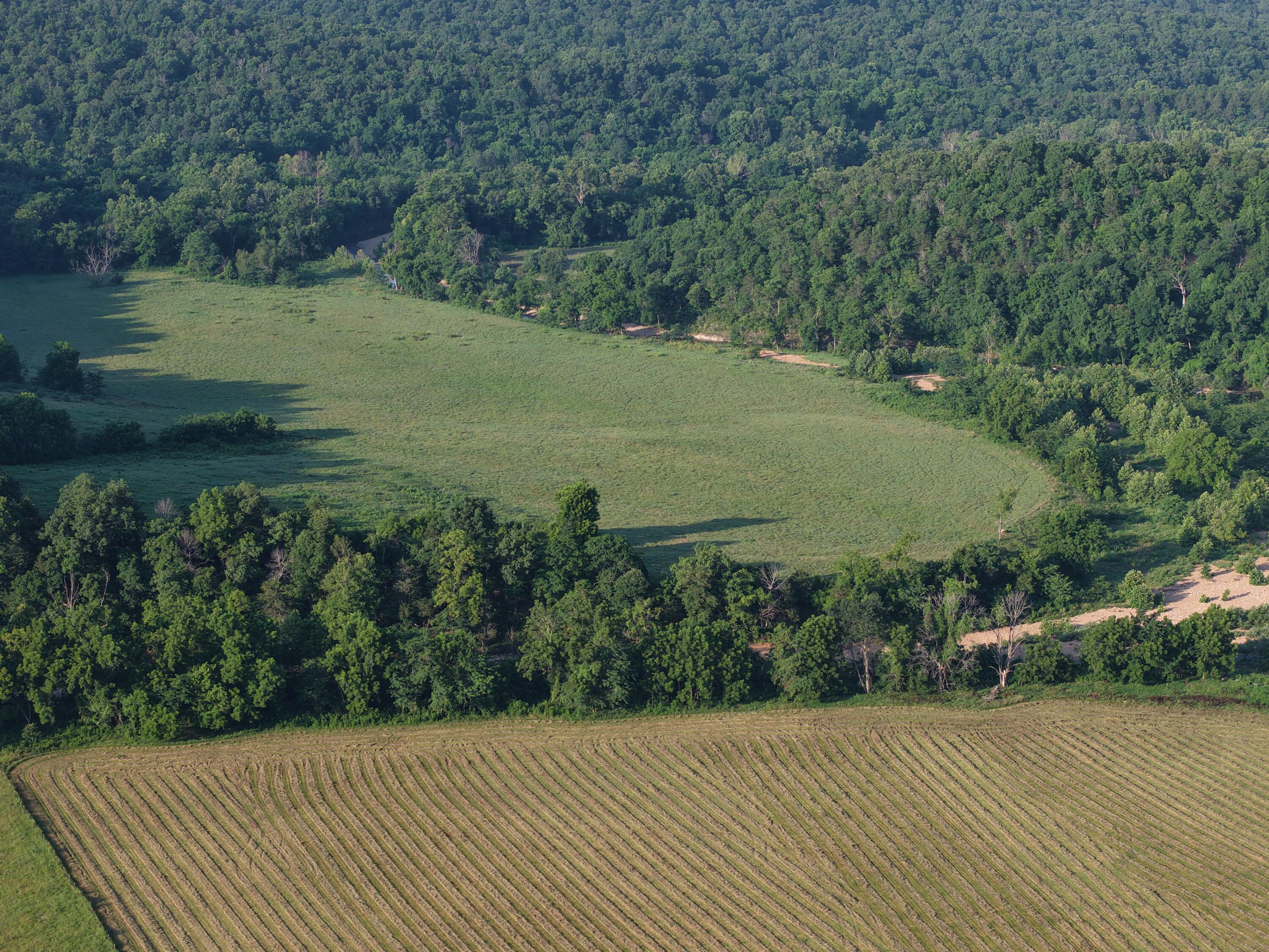 193 Mcfarland Hill Property Photo 16