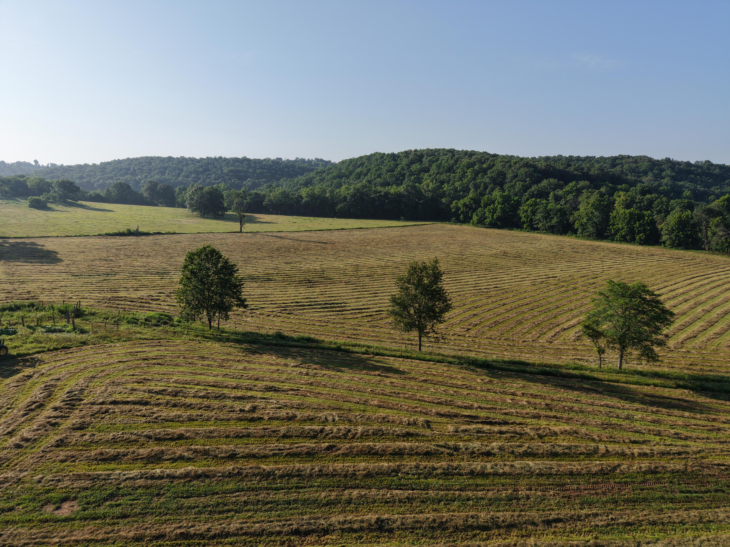 193 Mcfarland Hill Property Photo 34