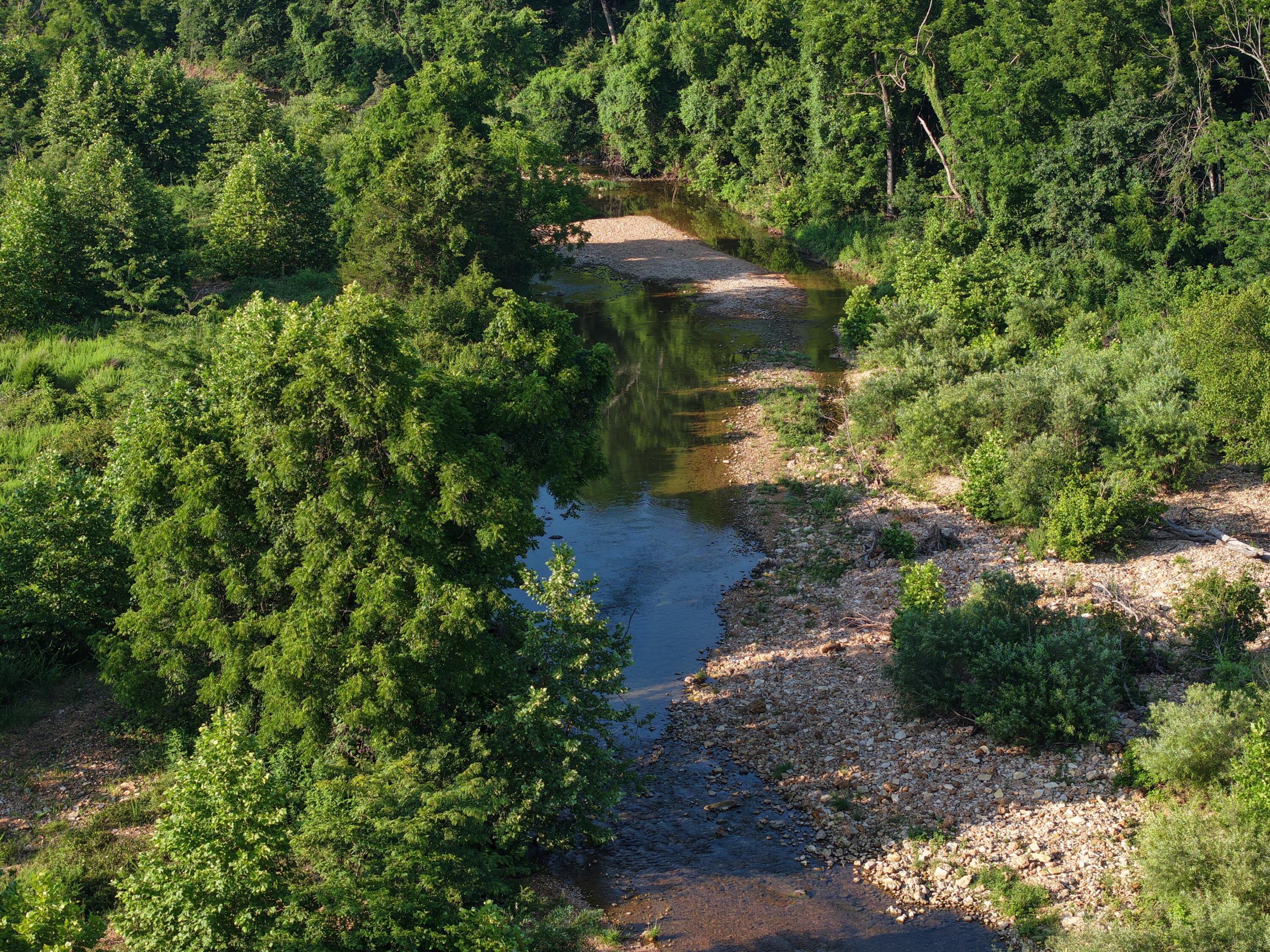 193 Mcfarland Hill Property Photo 39