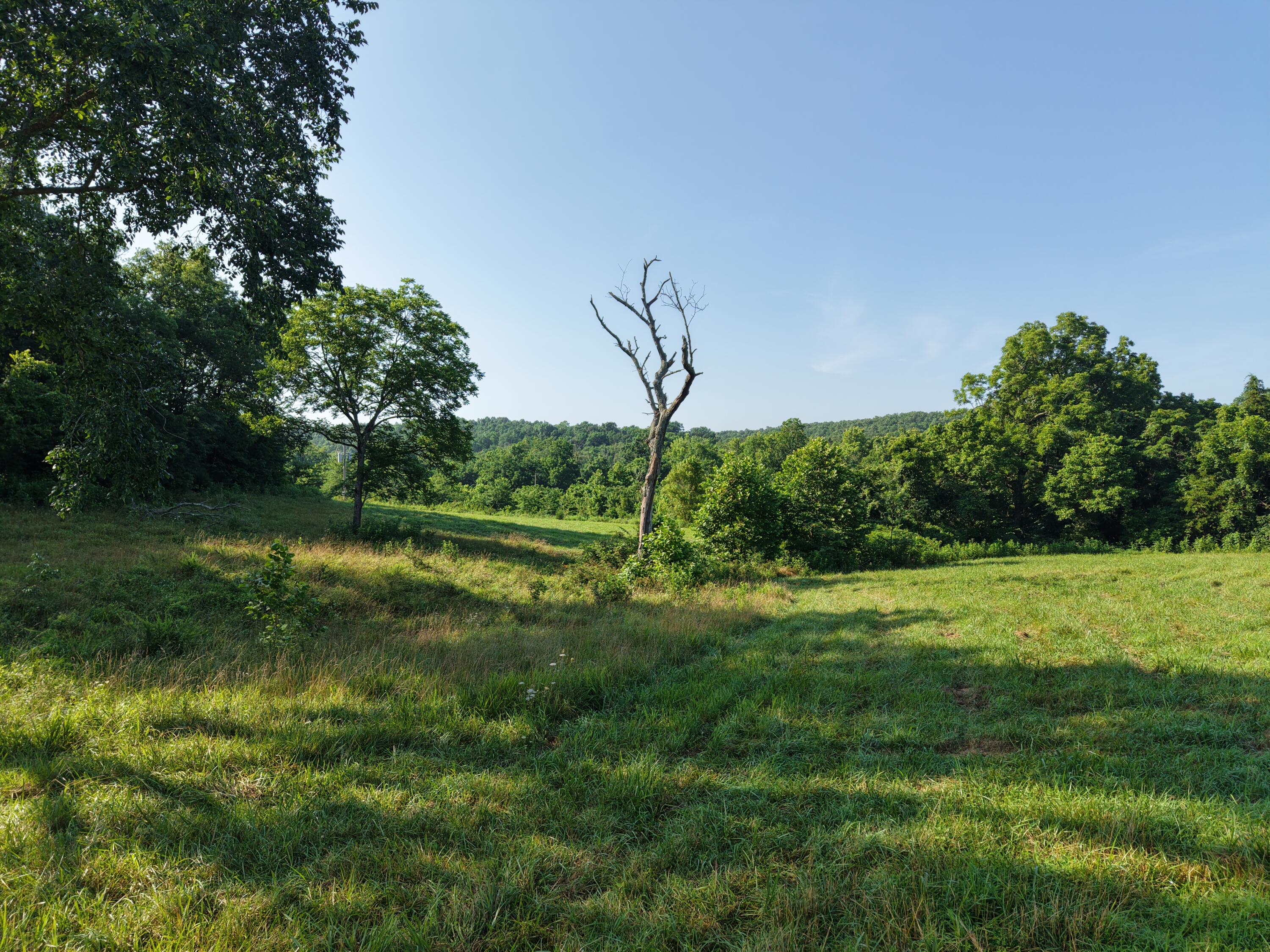 193 Mcfarland Hill Property Photo 42