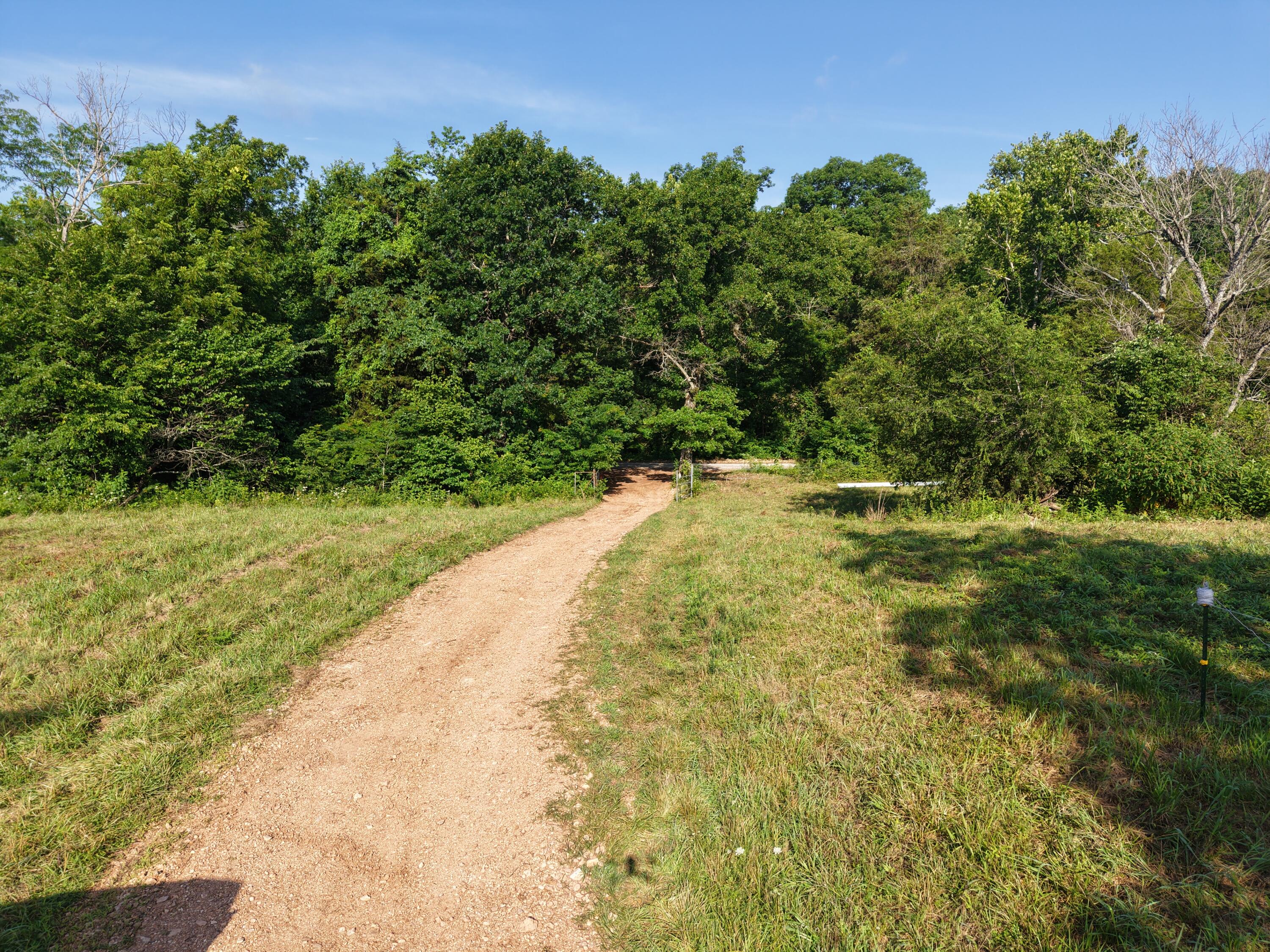 193 Mcfarland Hill Property Photo 43