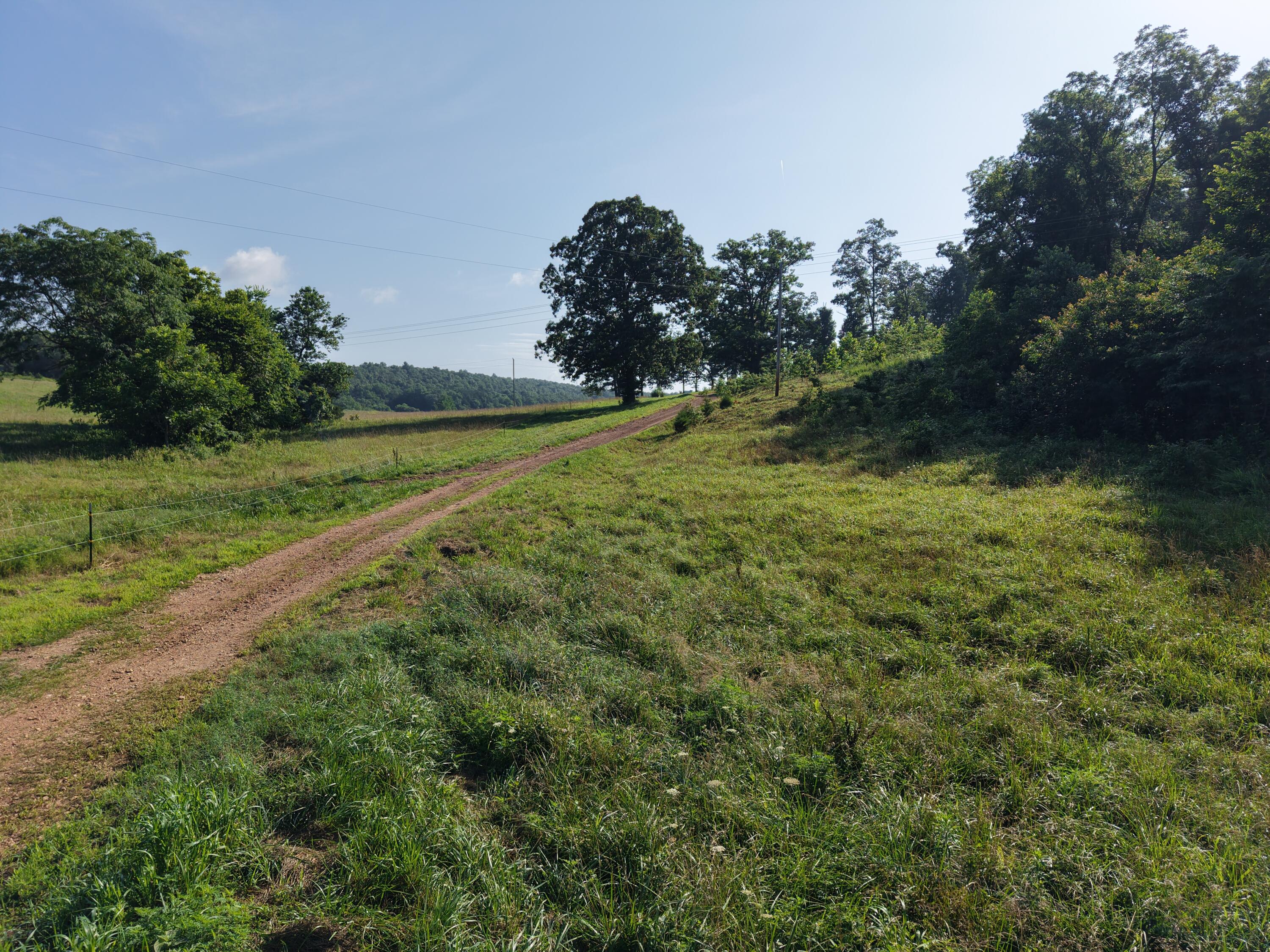 193 Mcfarland Hill Property Photo 46