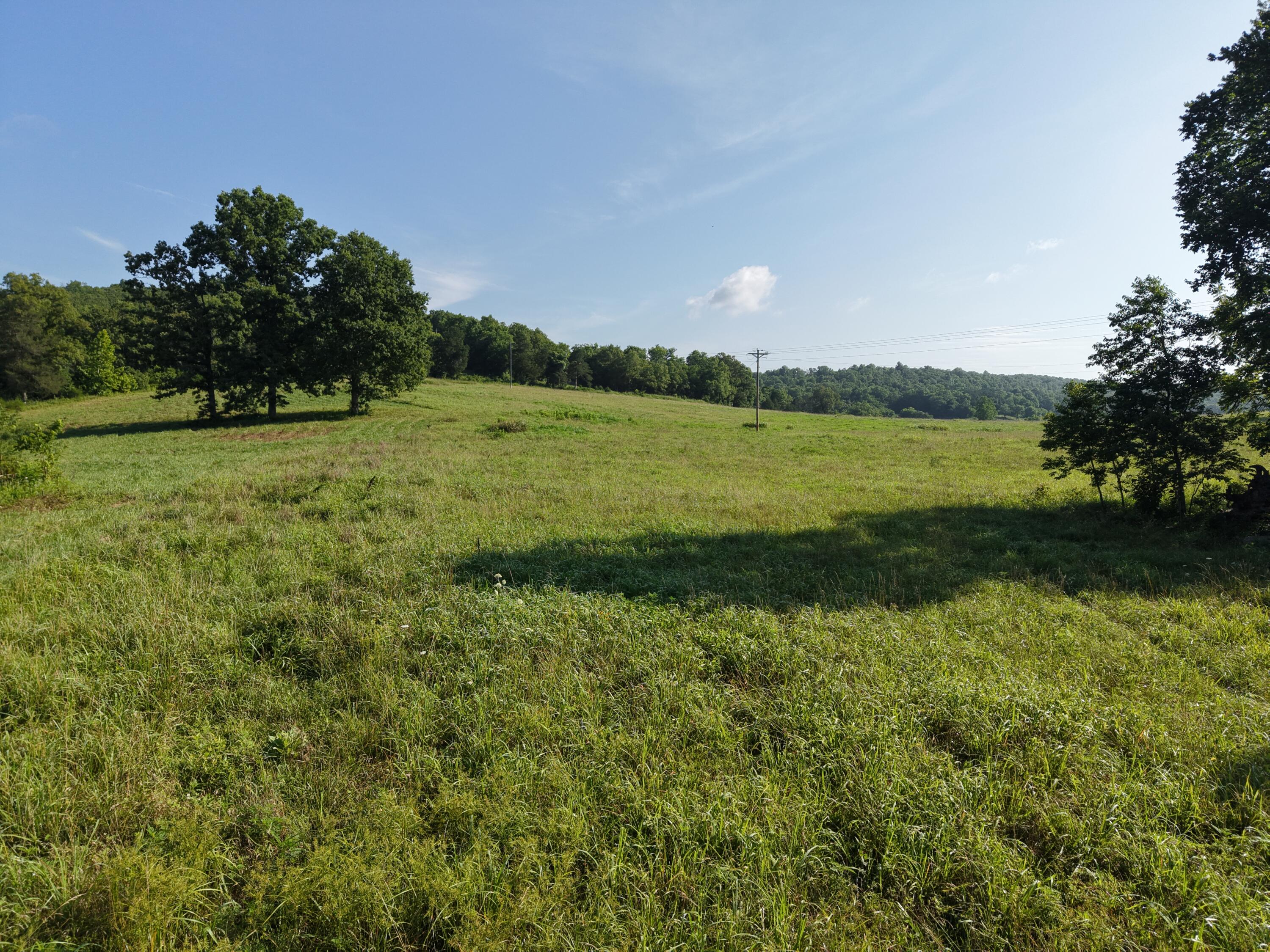 193 Mcfarland Hill Property Photo 47