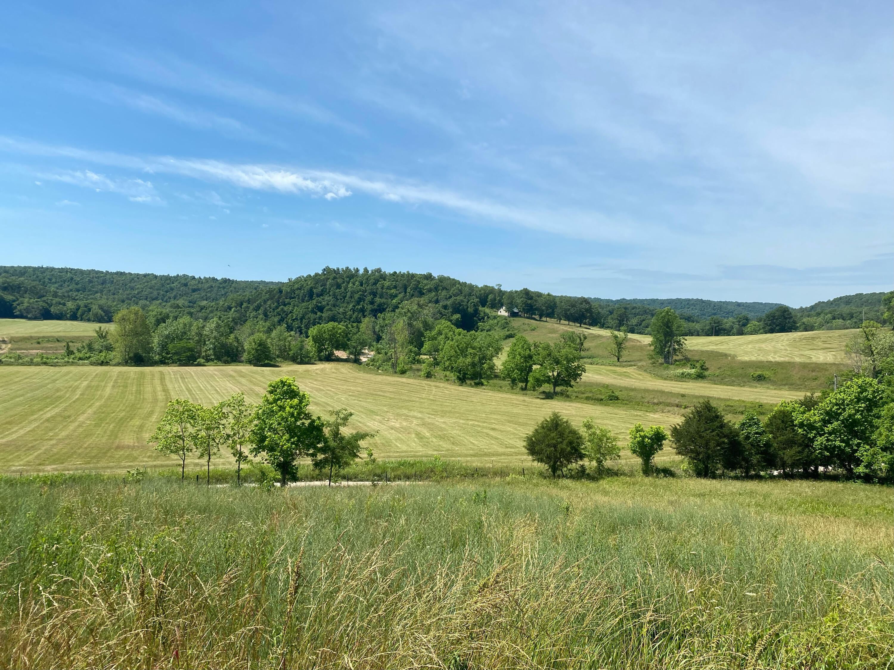 193 Mcfarland Hill Property Photo 51