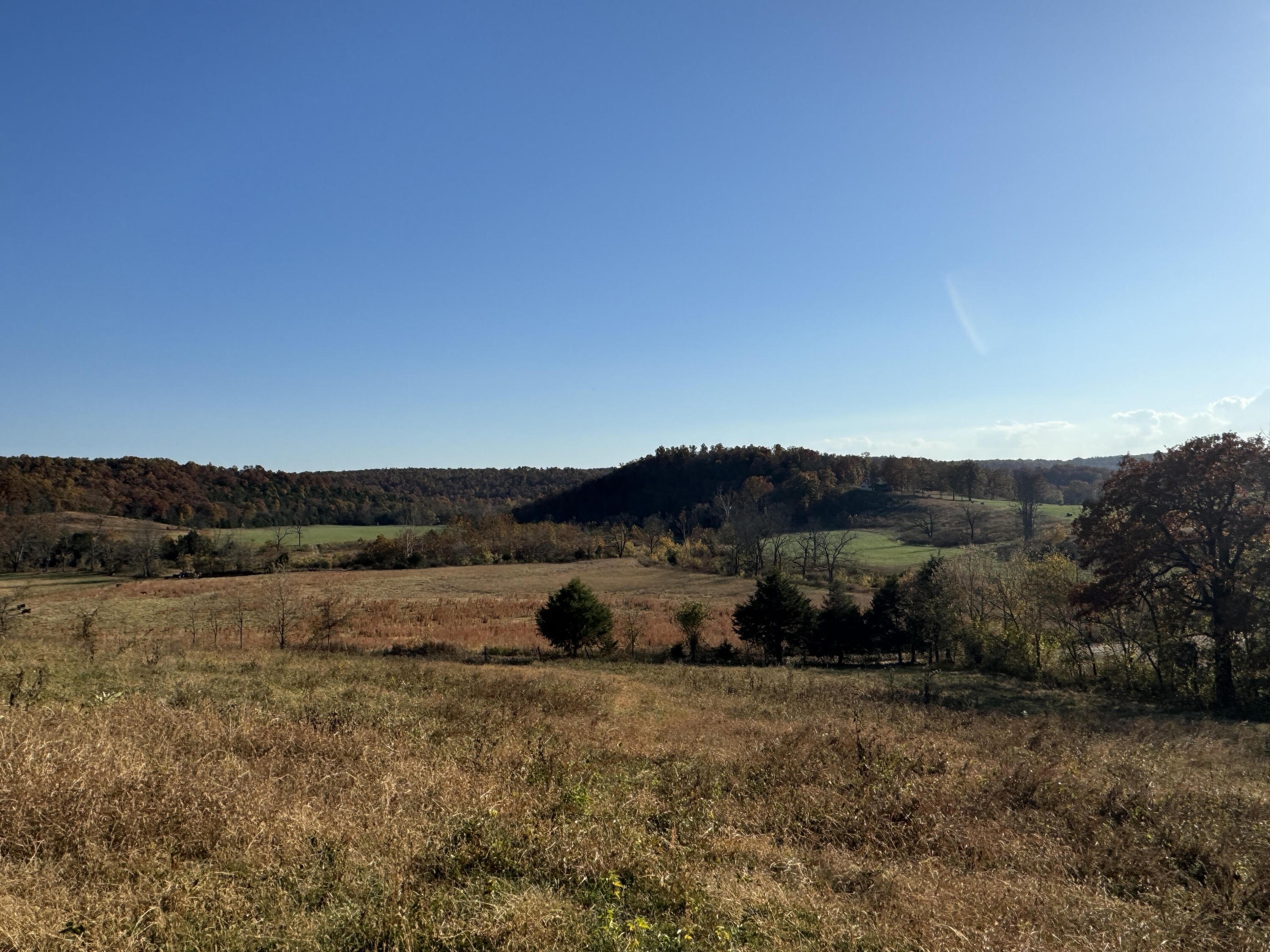 193 Mcfarland Hill Property Photo 58