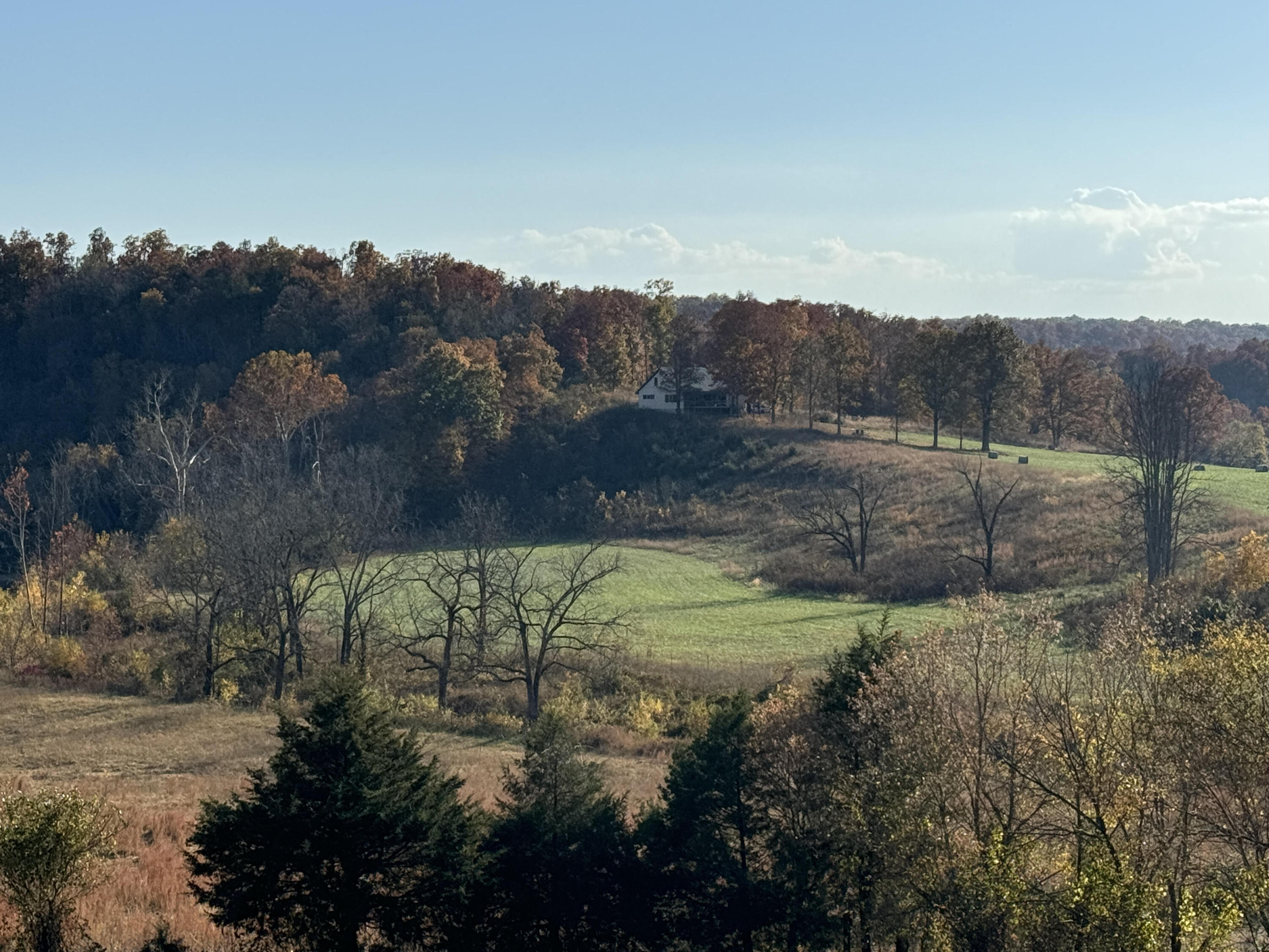 193 Mcfarland Hill Property Photo 59