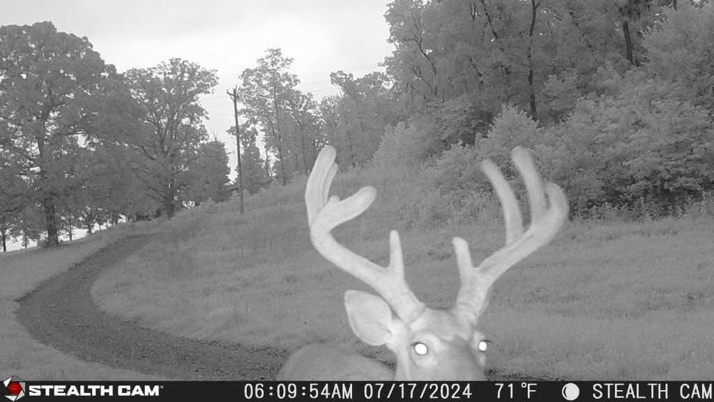 193 Mcfarland Hill Property Photo 61