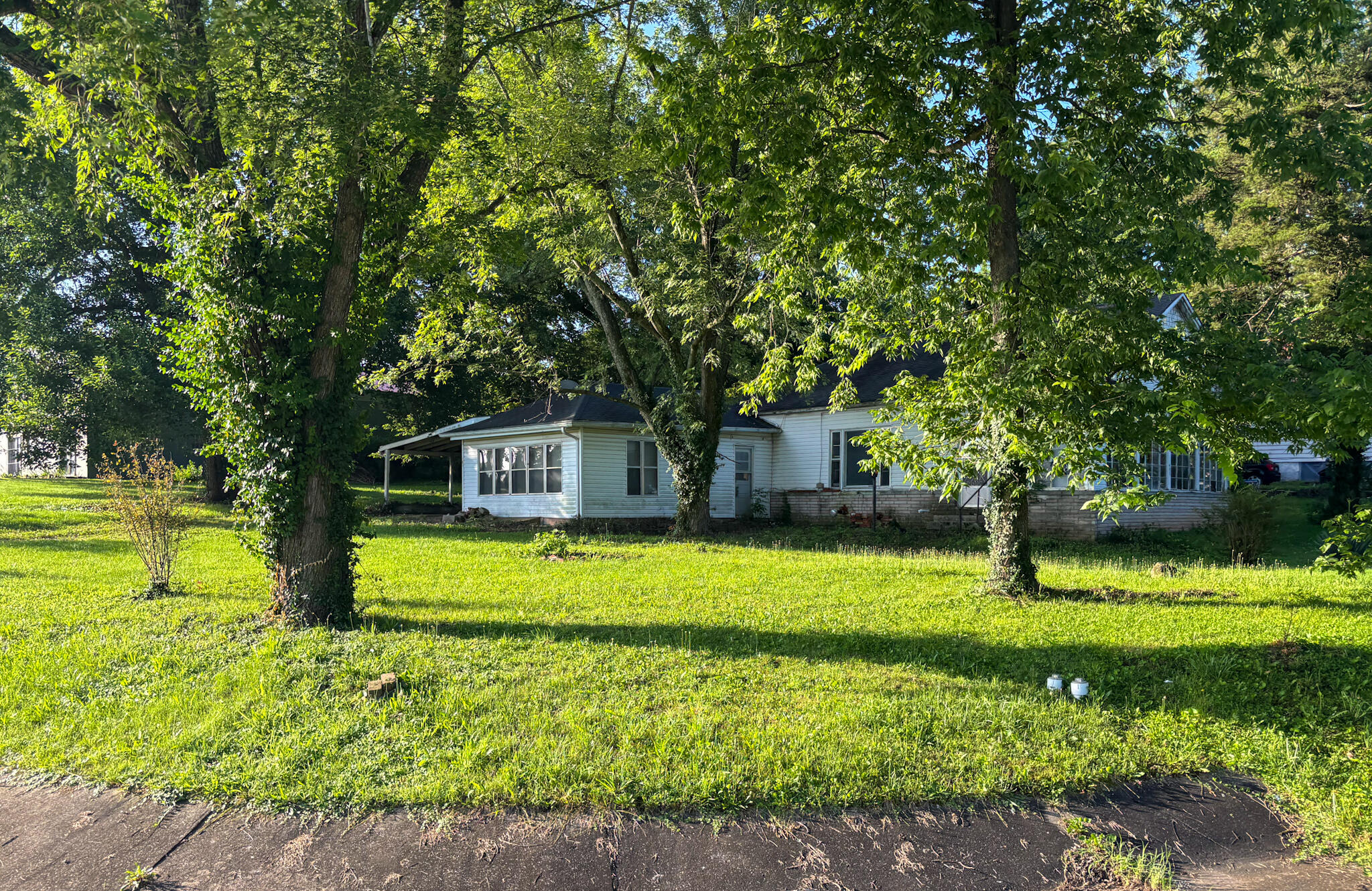 103 Pirate Lane Property Photo 4