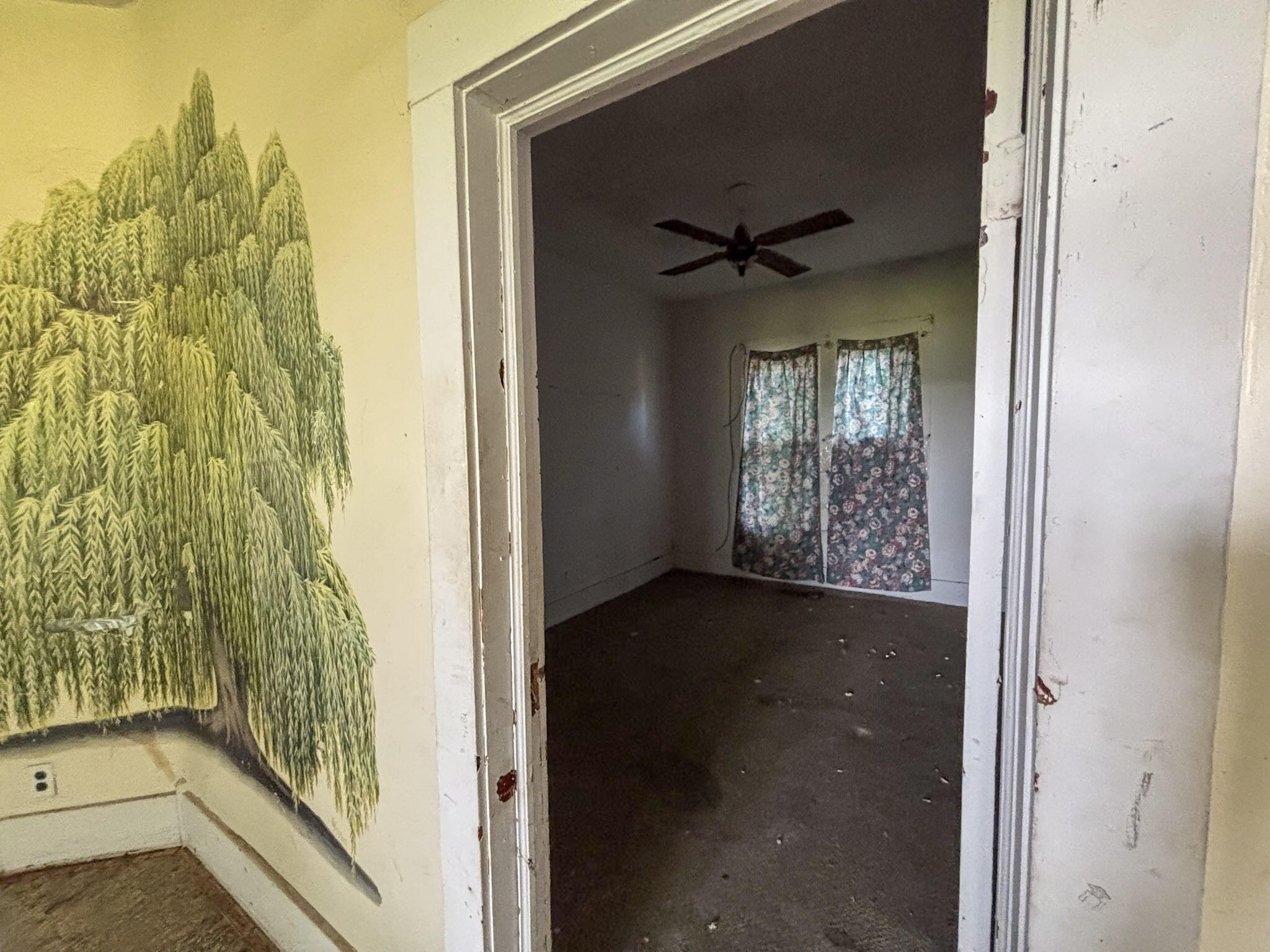 103 Pirate Lane Property Photo 8