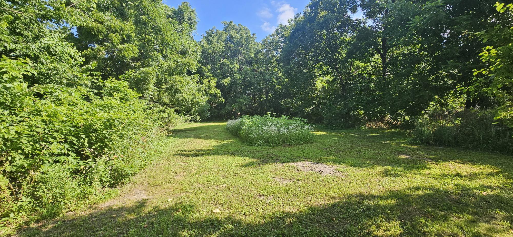 949 Long State Highway Y Property Photo 54