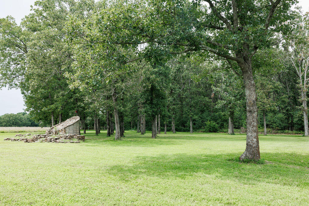 4087 Highway 83 Property Photo 69