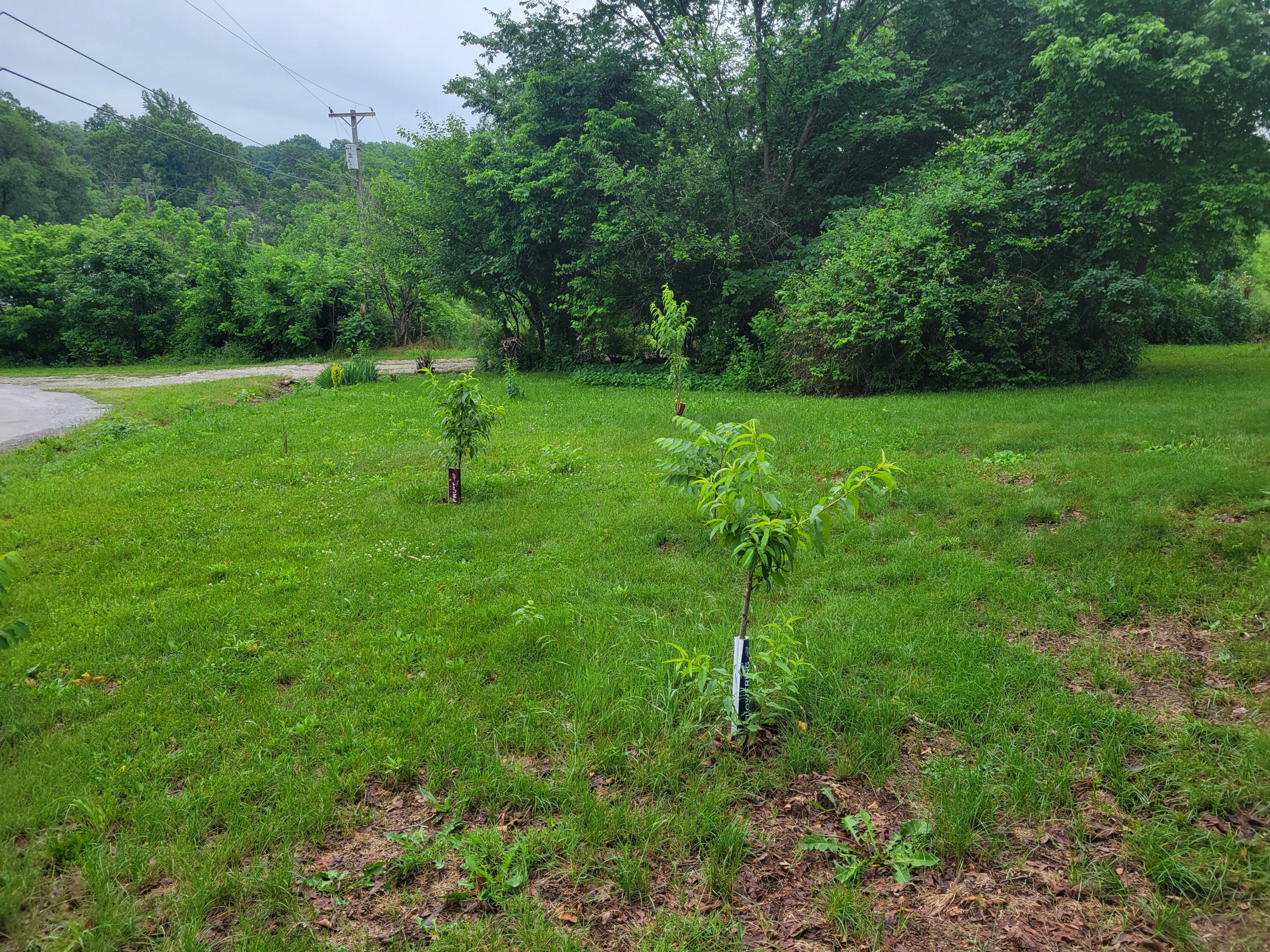 3286 South 30th Road Property Photo 4