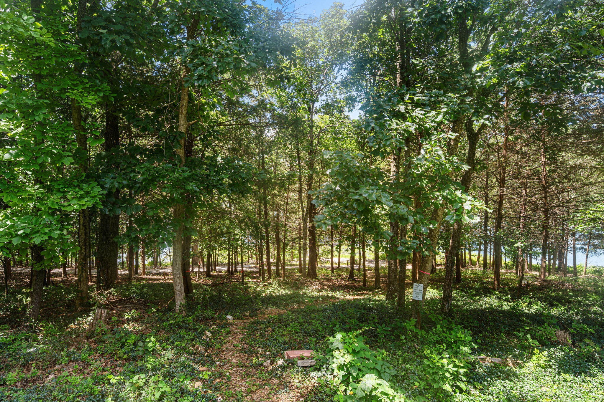 5 Greenbrier Drive Property Photo 57