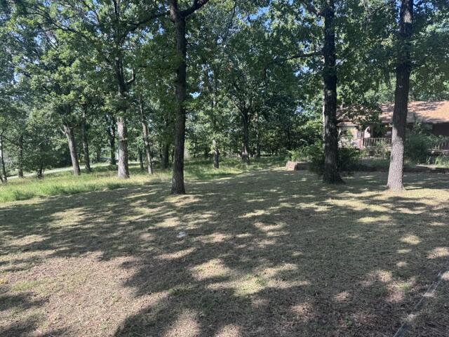 203 Blue Meadows Drive Property Photo 12