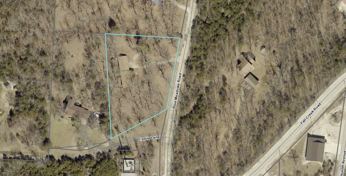 203 Blue Meadows Drive Property Photo 17