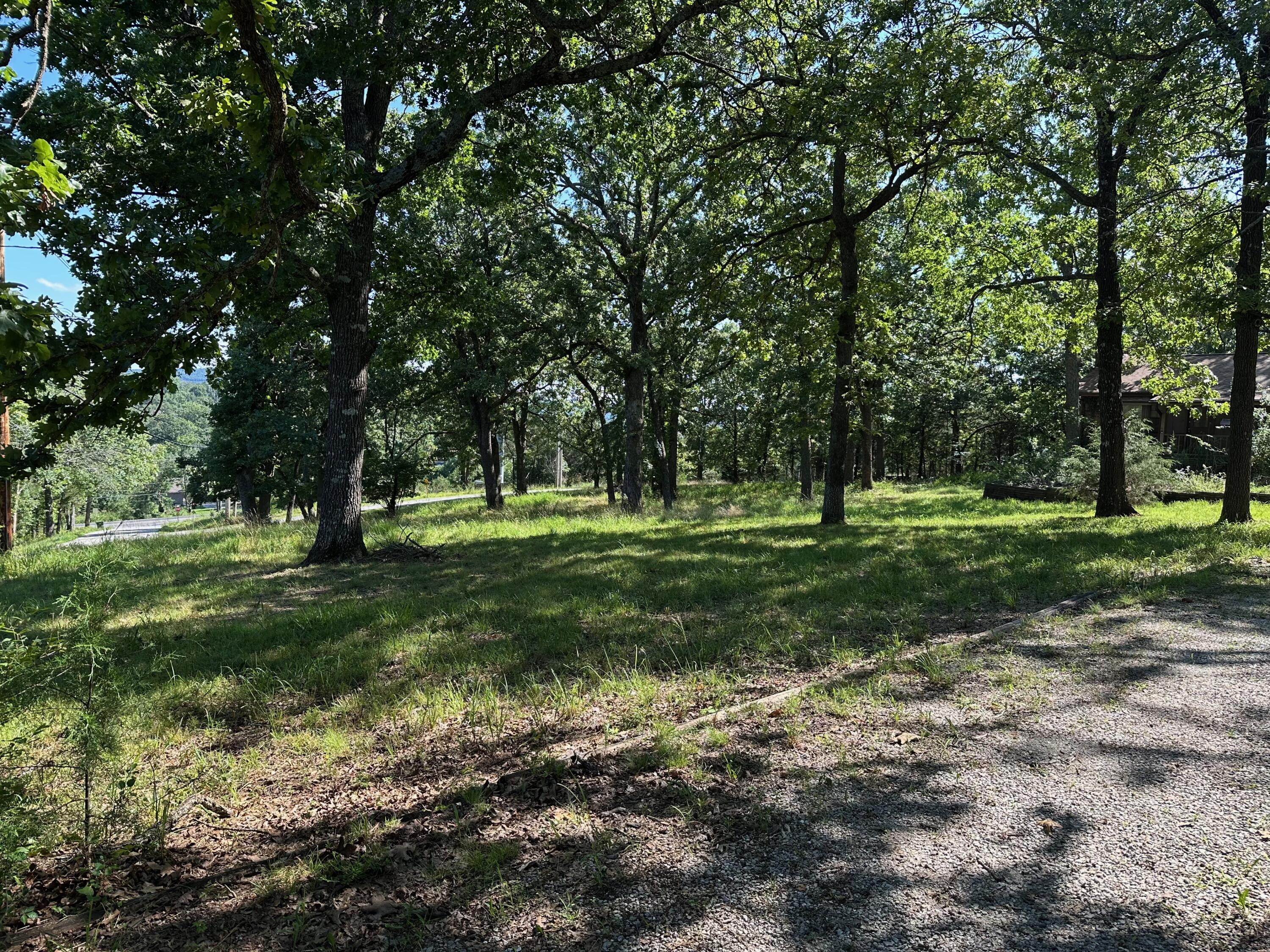 203 Blue Meadows Drive Property Photo 24