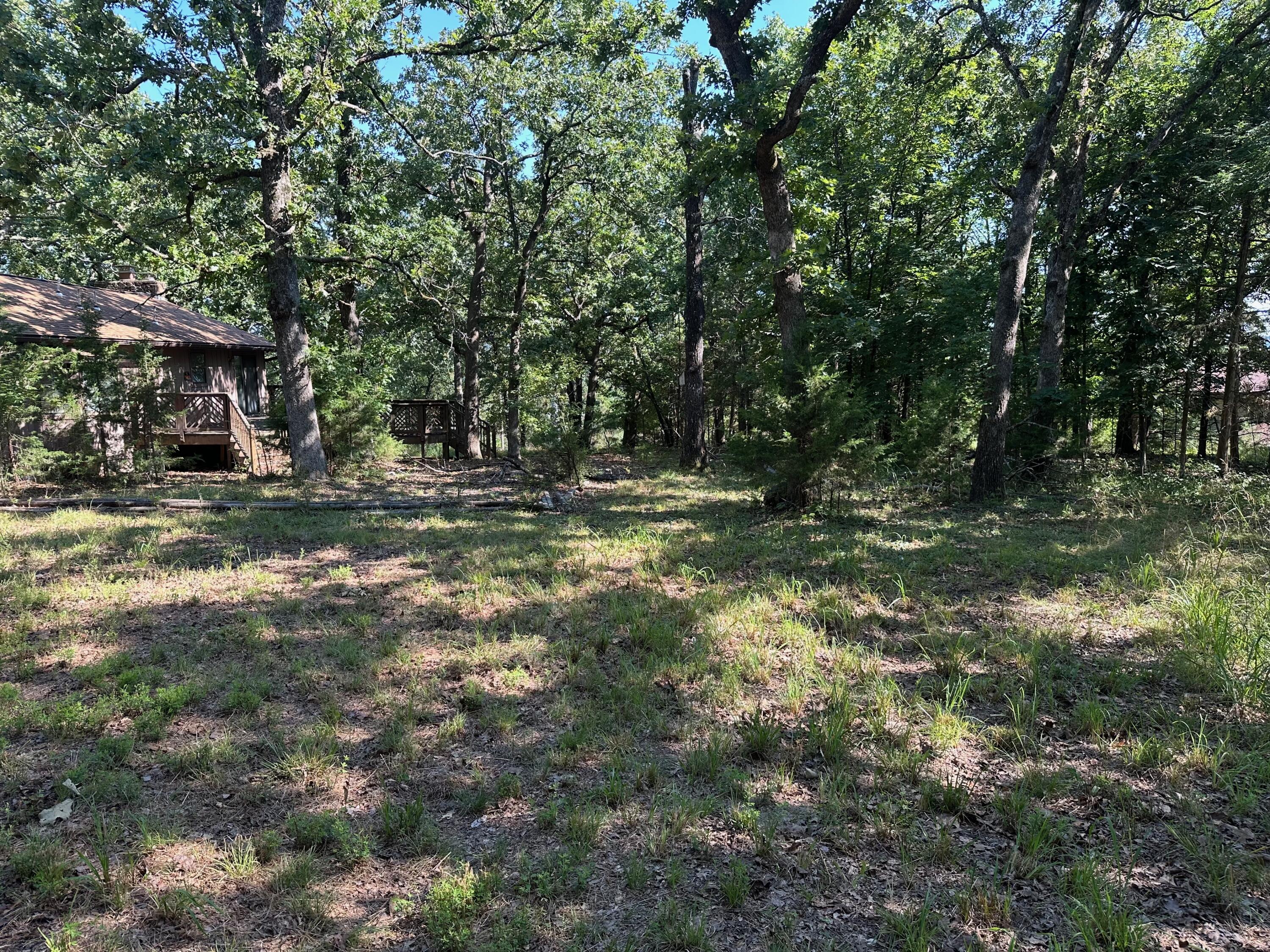 203 Blue Meadows Drive Property Photo 47
