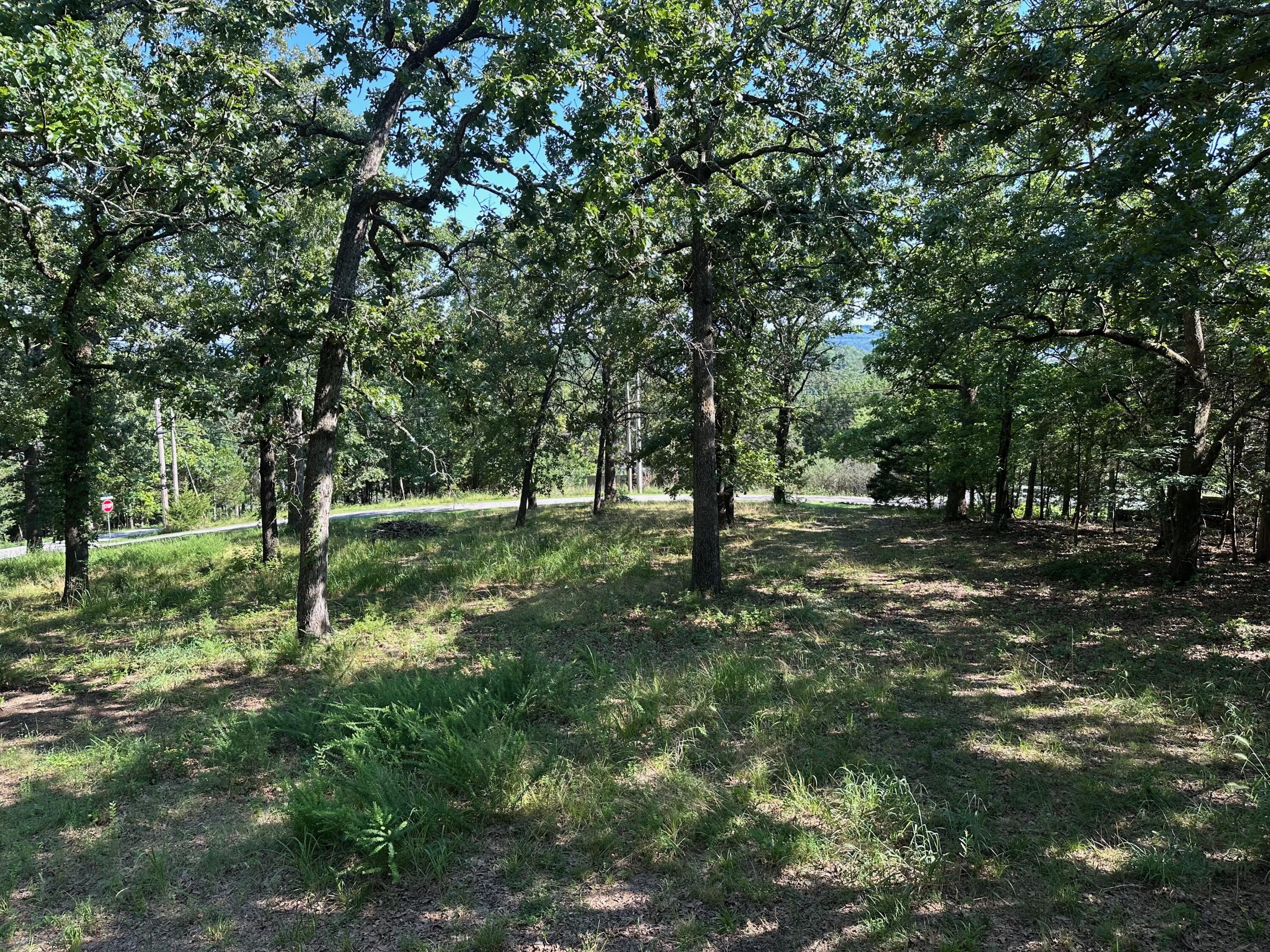 203 Blue Meadows Drive Property Photo 51