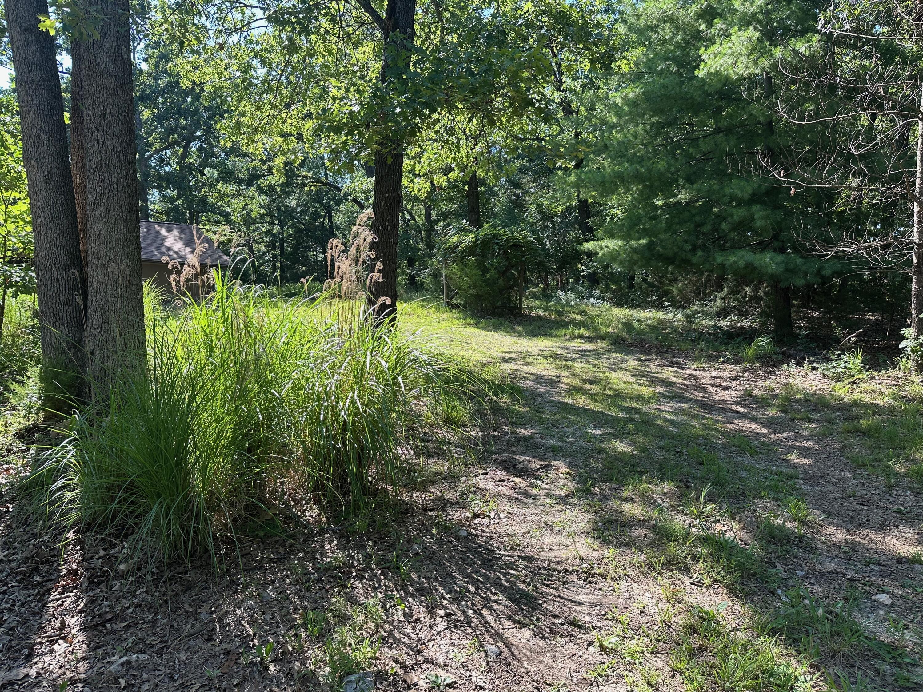 203 Blue Meadows Drive Property Photo 56