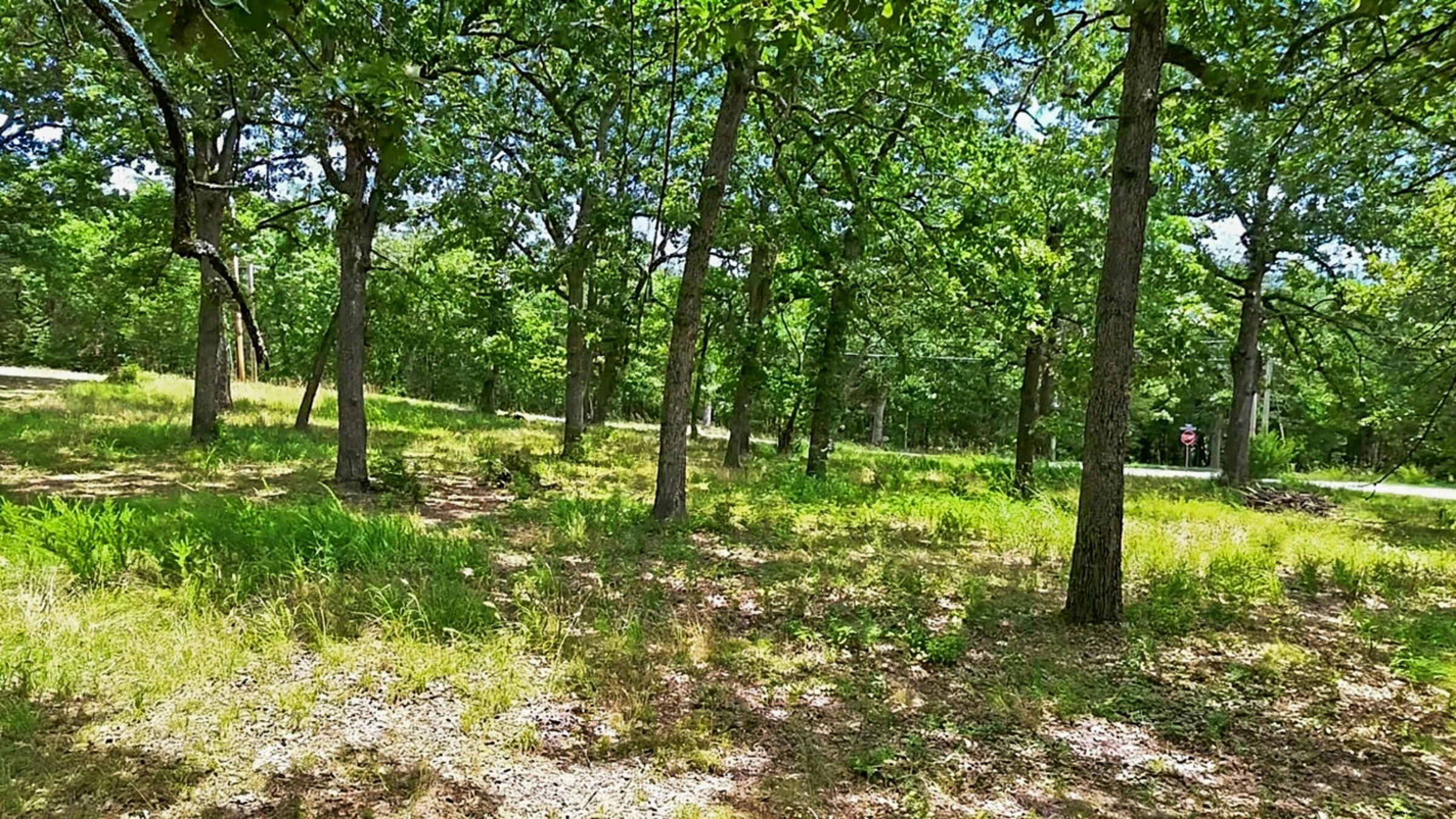203 Blue Meadows Drive Property Photo 66