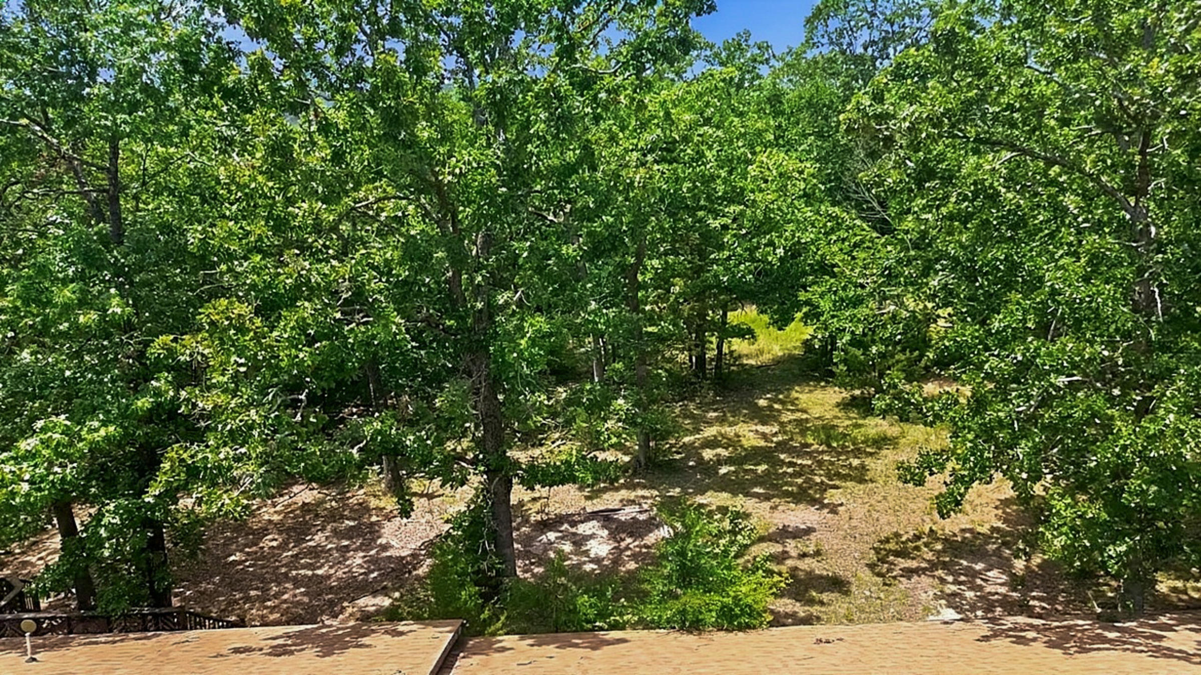 203 Blue Meadows Drive Property Photo 70
