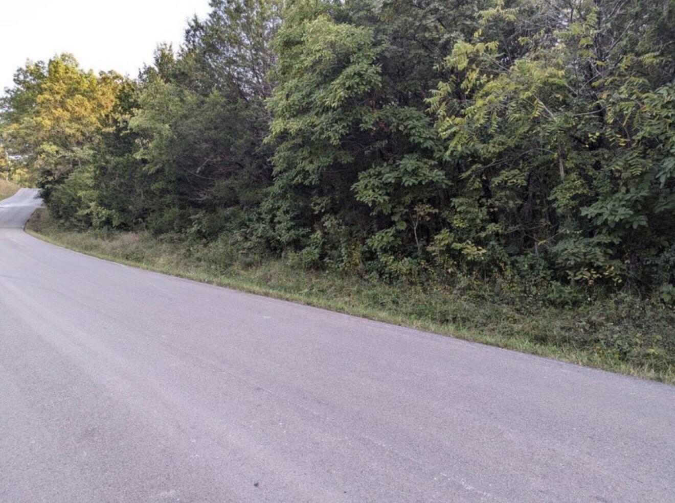 000 Grier Branch Lot 3 Road Property Photo 1