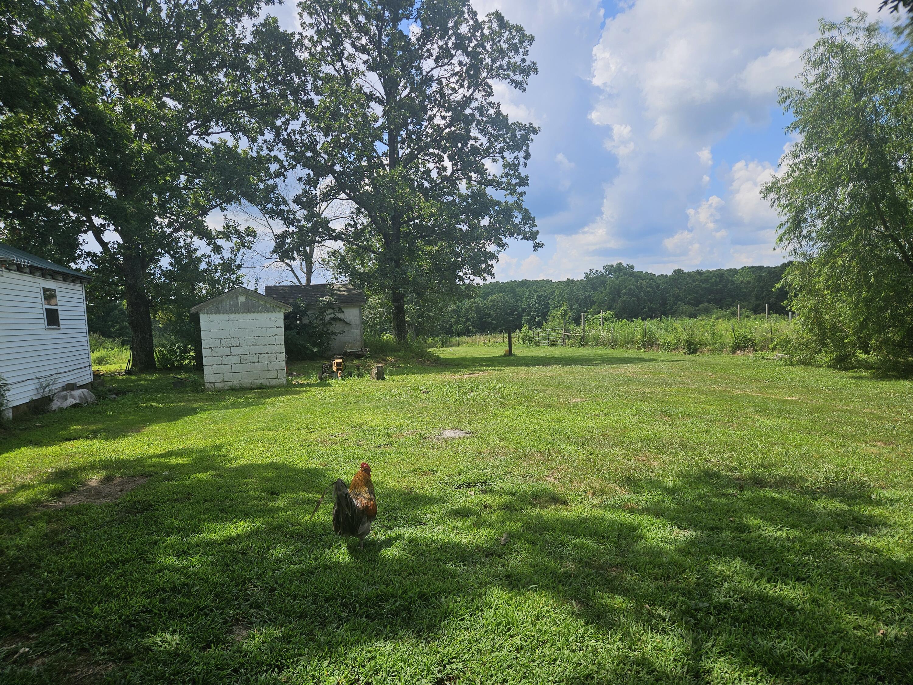 18896 Highway H Property Photo 22