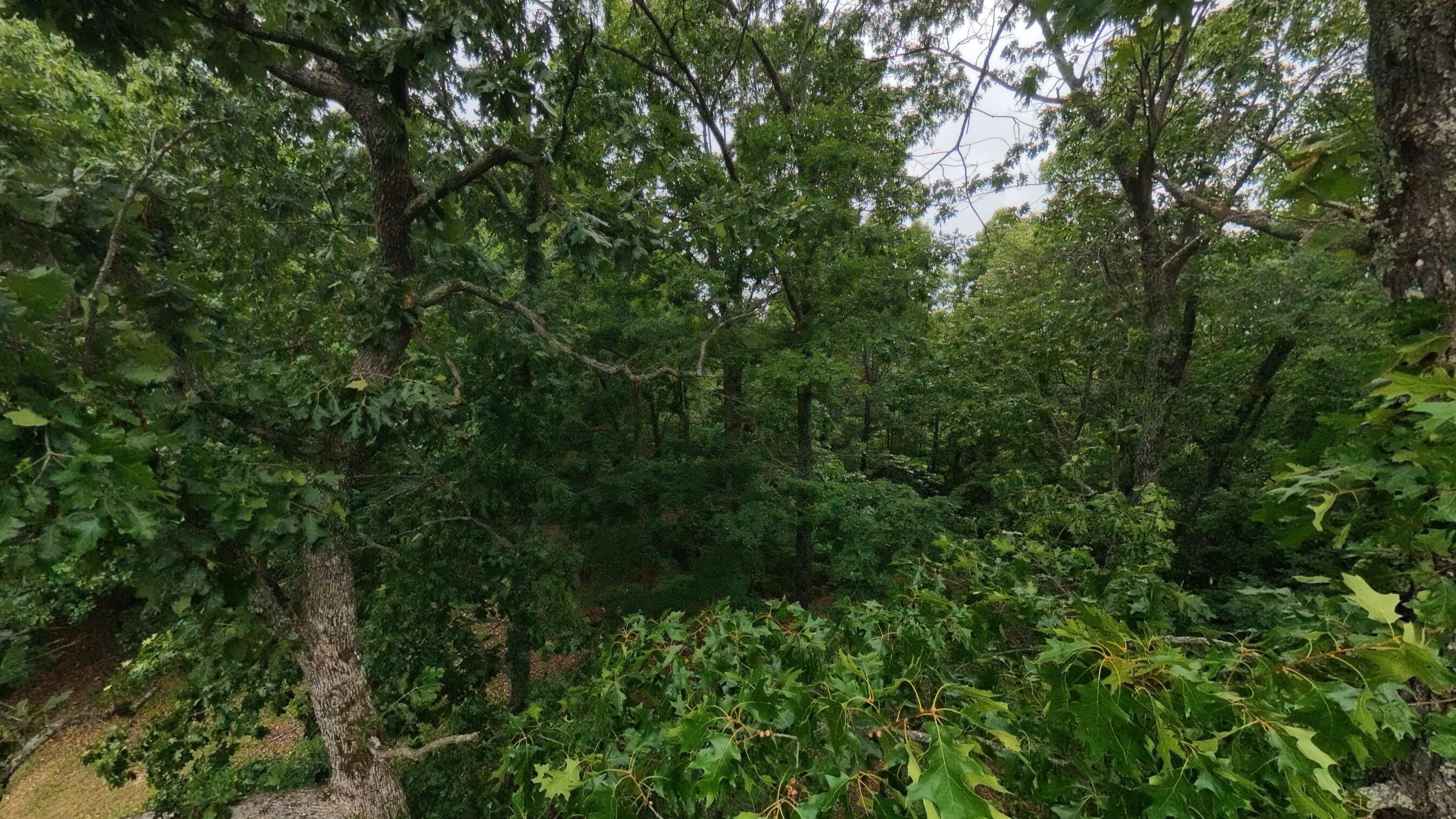348 Marion County 6034 Property Photo 38