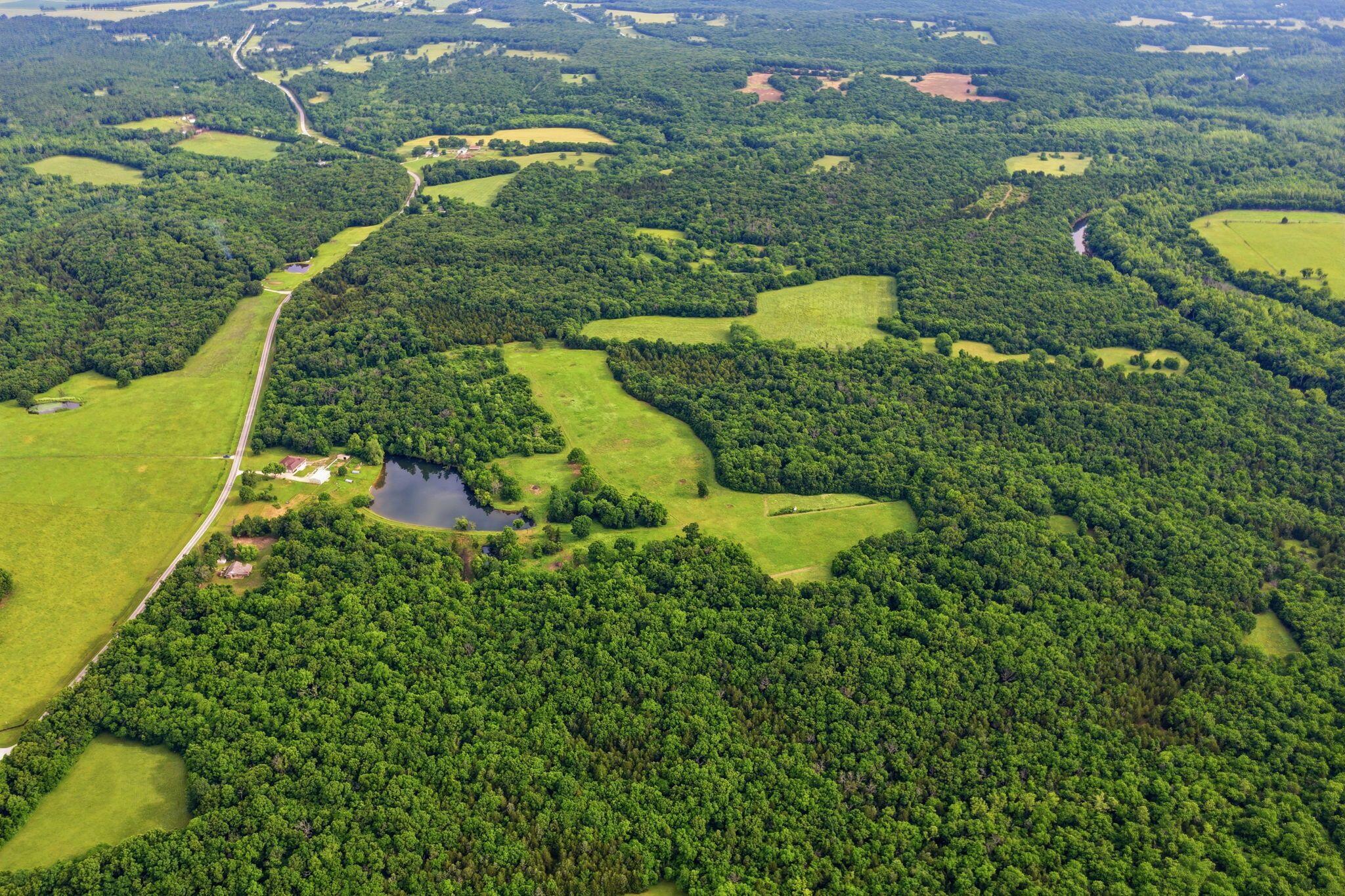 3630 Highway 83 Tract 3 Property Photo 65
