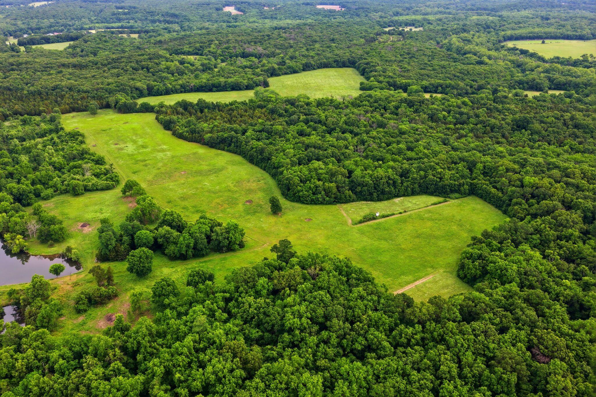 3630 Highway 83 Tract 3 Property Photo 74