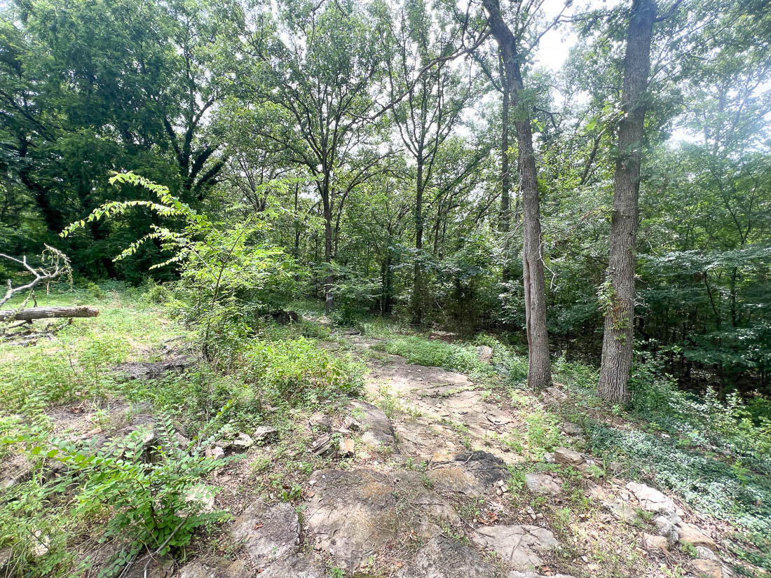 483 Mc 171 Road Property Photo 7