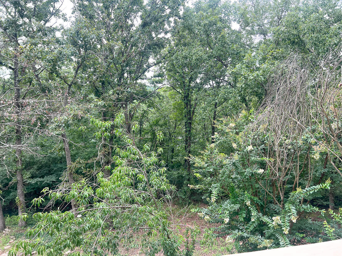 483 Mc 171 Road Property Photo 9