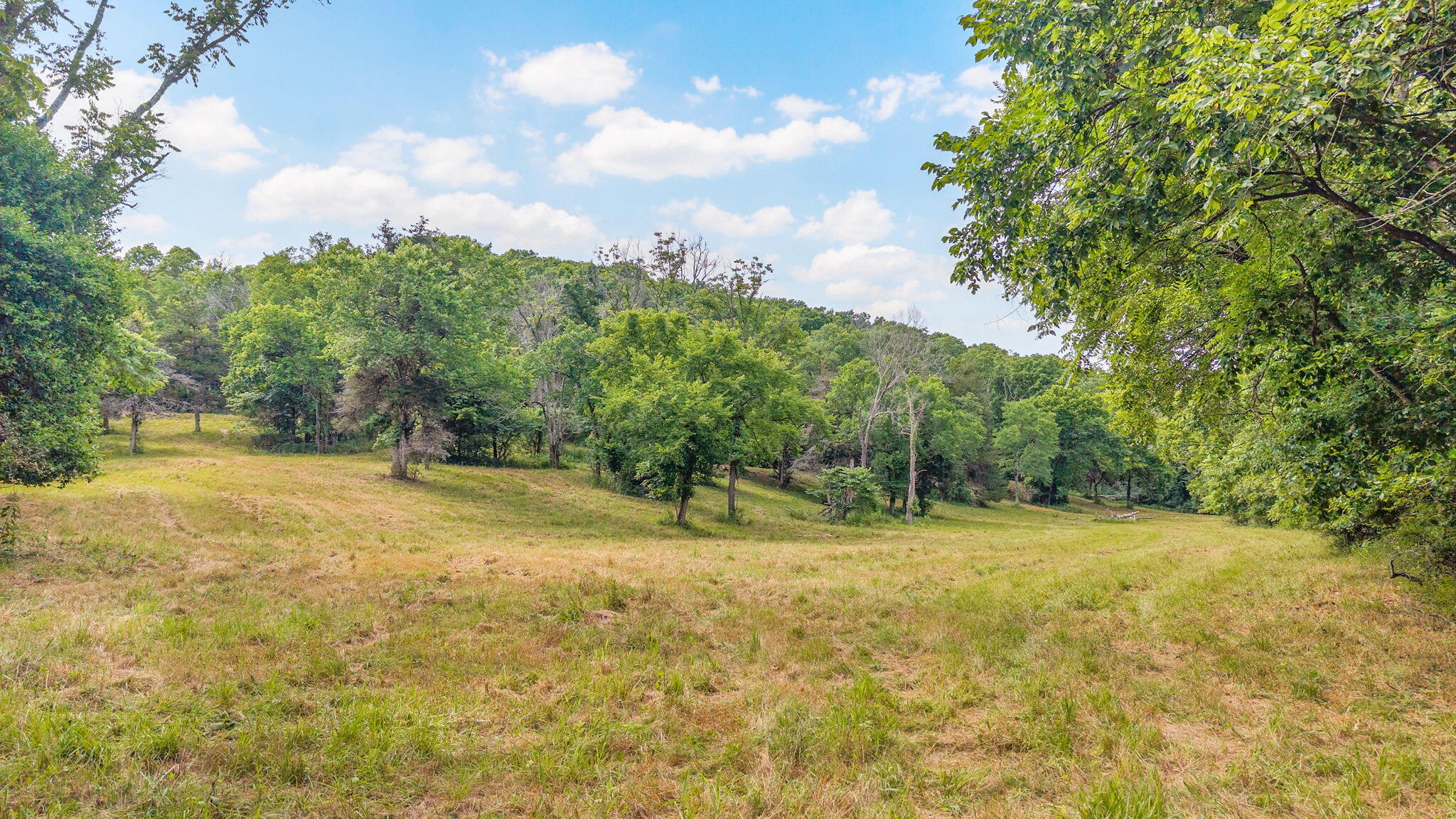 000 State Highway 265 Property Photo 4