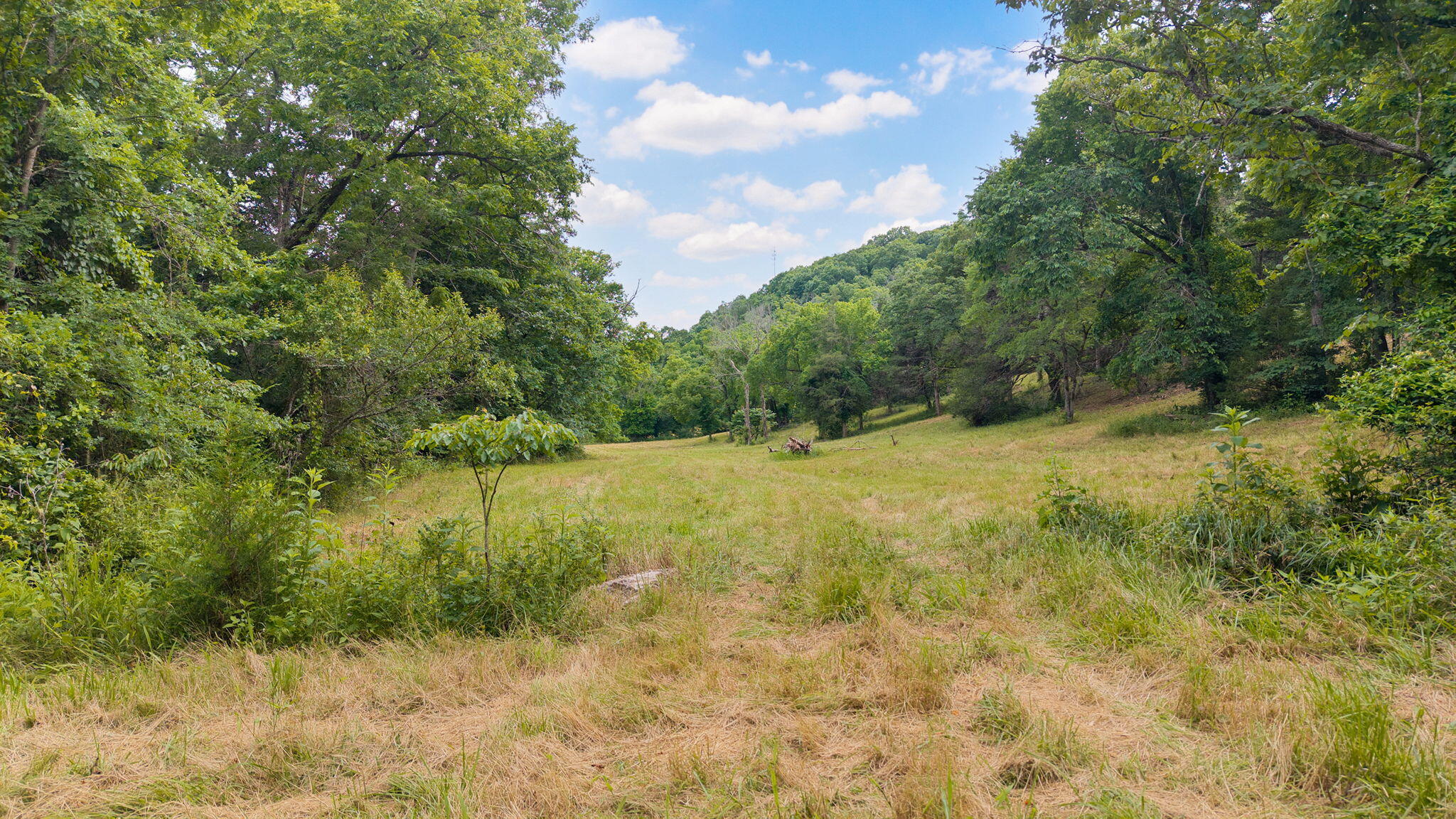 000 State Highway 265 Property Photo 7