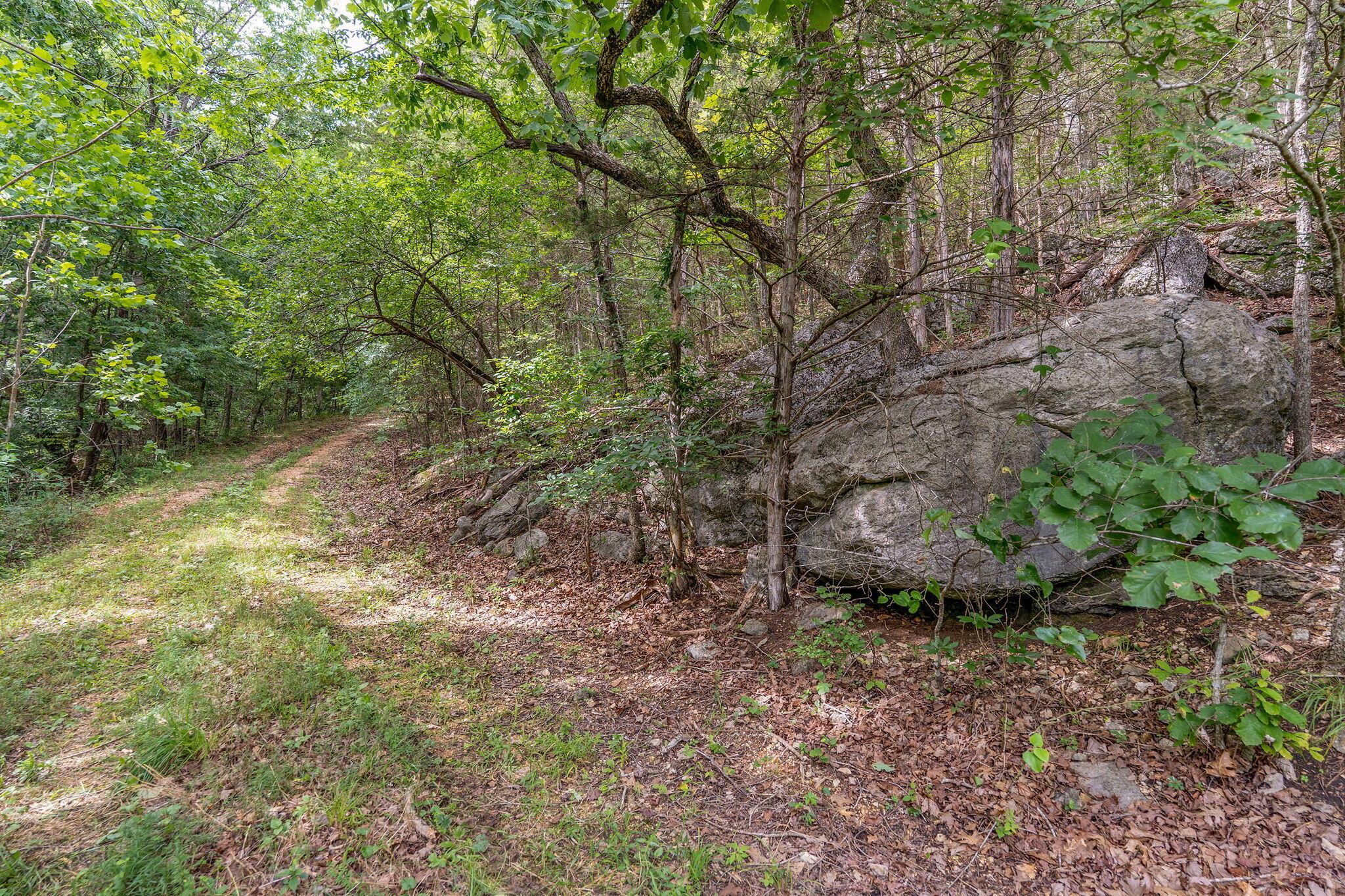 000 State Highway 265 Property Photo 10