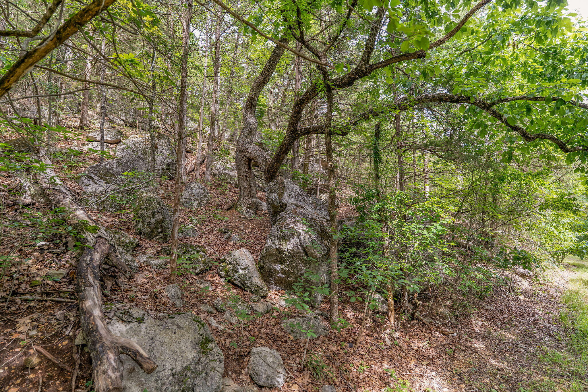 000 State Highway 265 Property Photo 11