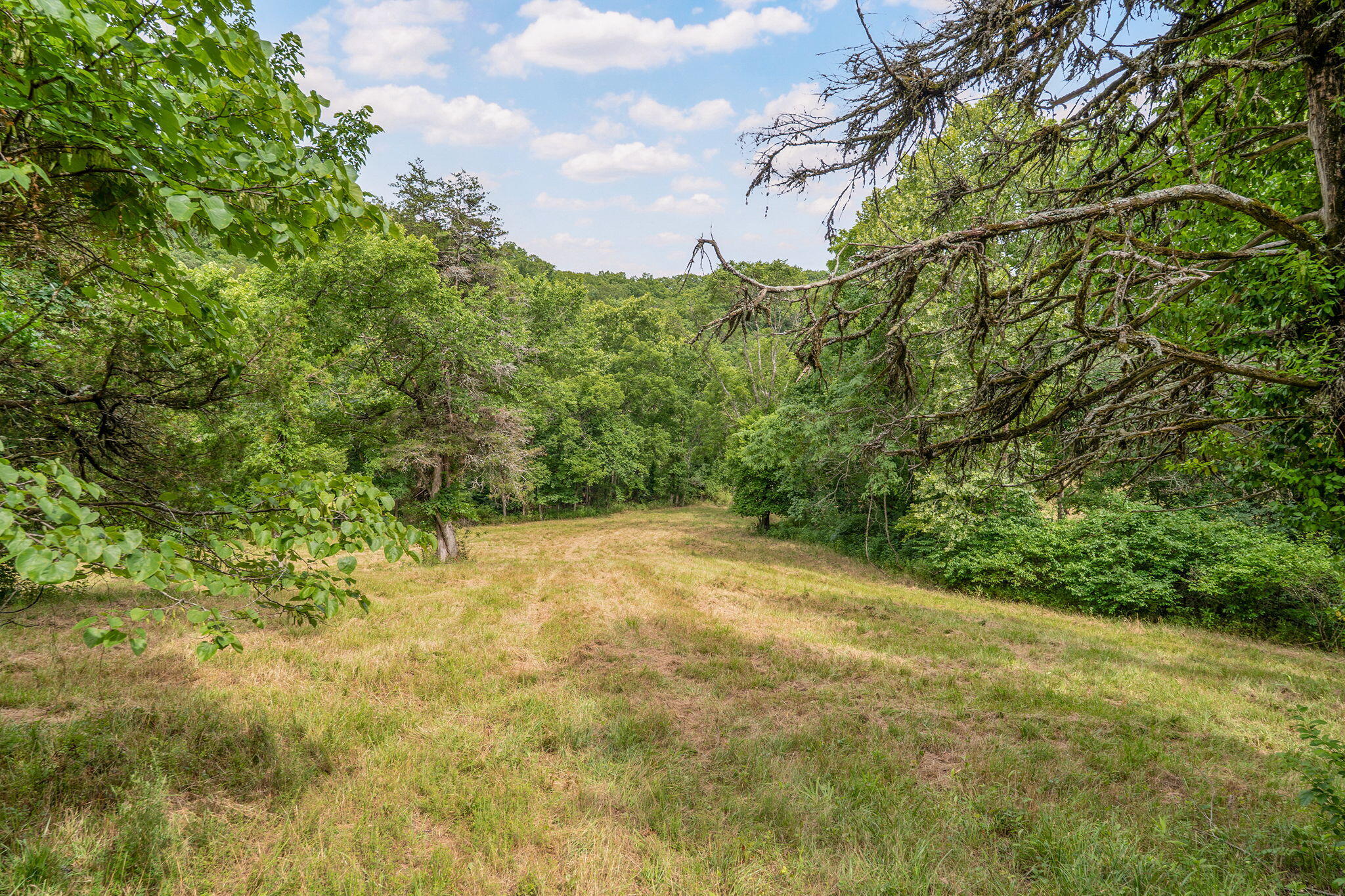 000 State Highway 265 Property Photo 13