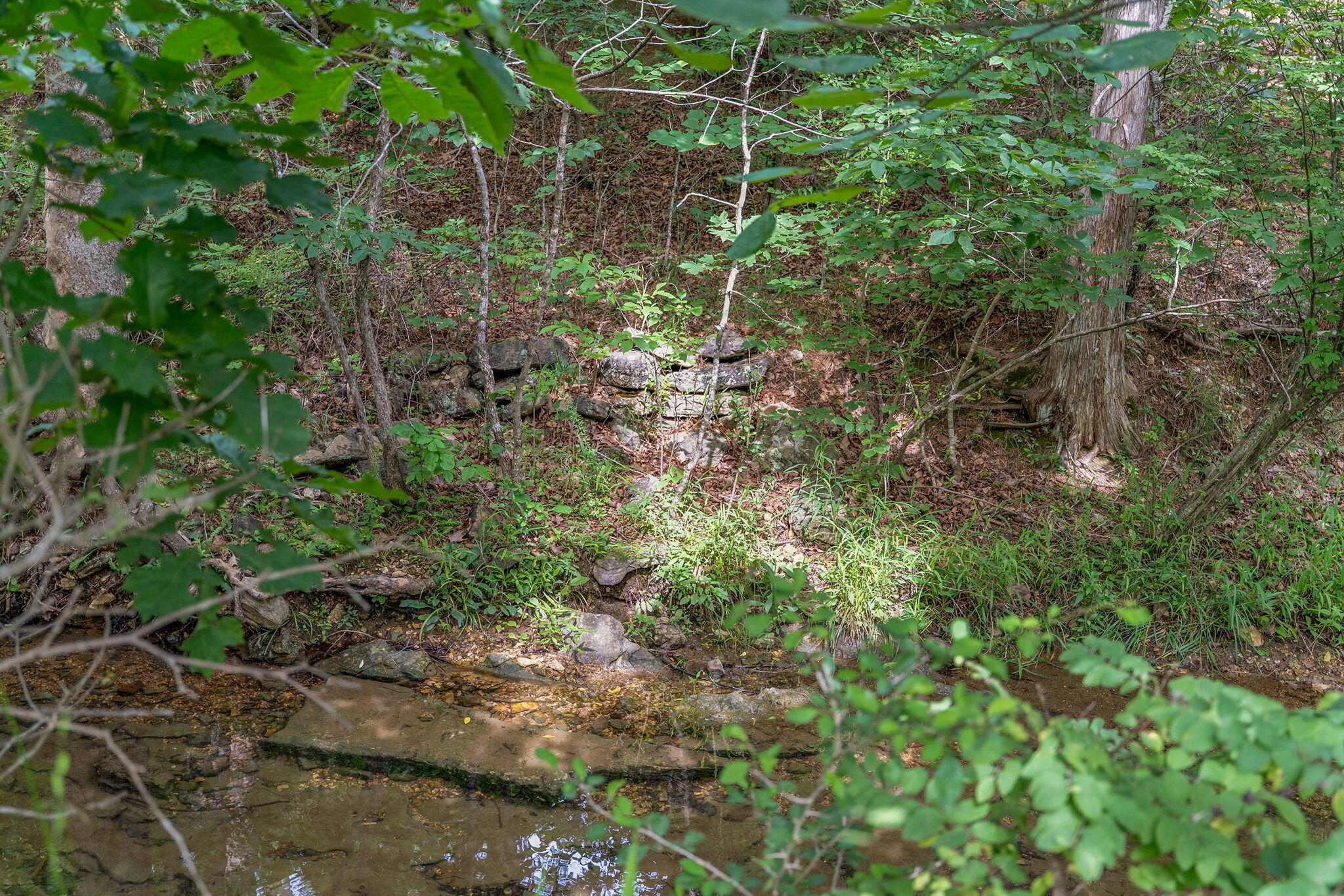 000 State Highway 265 Property Photo 14