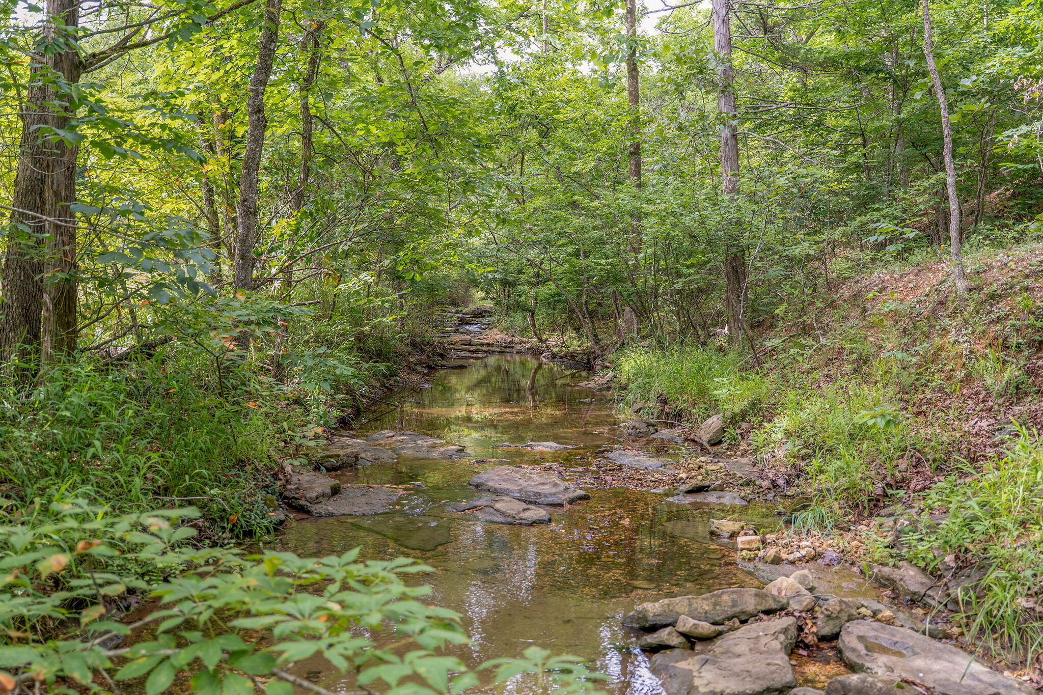 000 State Highway 265 Property Photo 15
