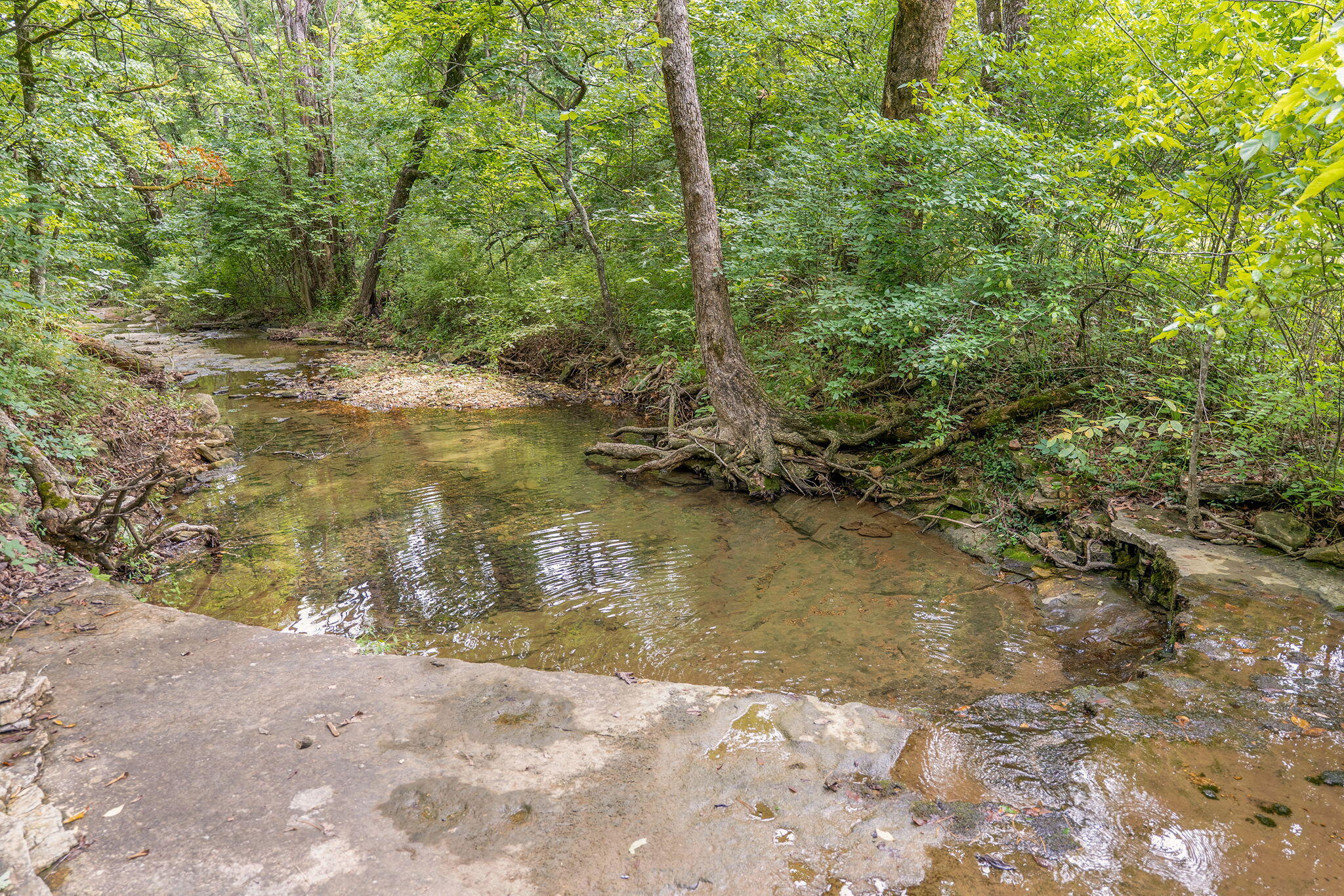 000 State Highway 265 Property Photo 16