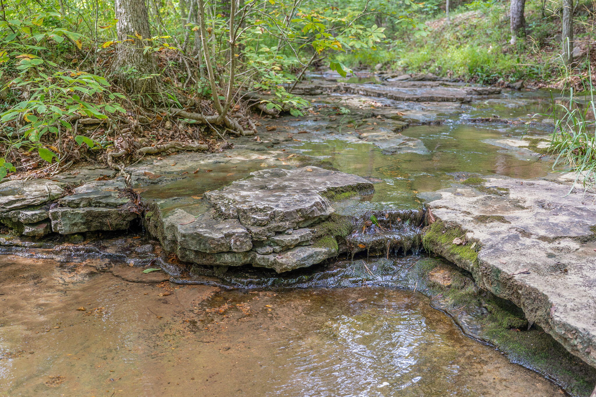 000 State Highway 265 Property Photo 19