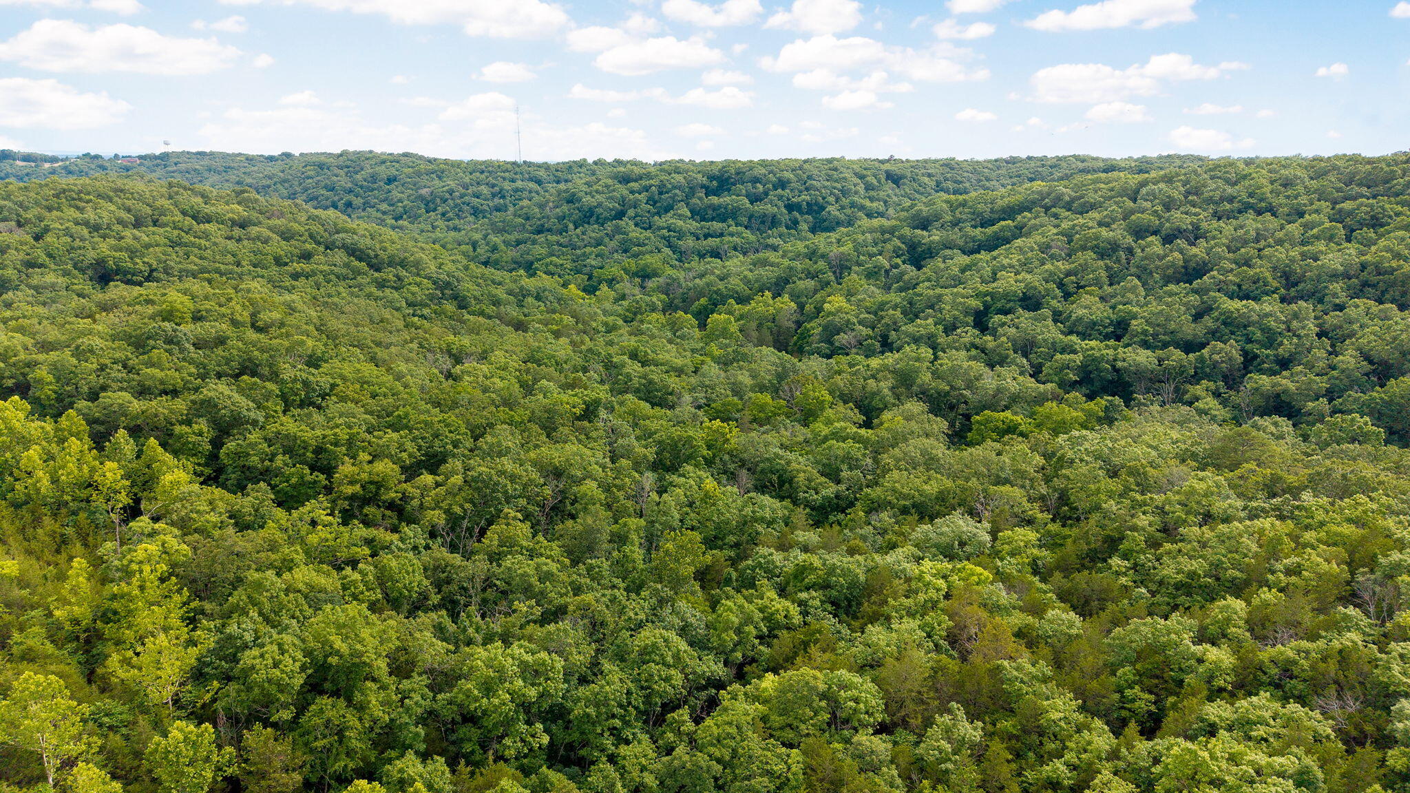 000 State Highway 265 Property Photo 28