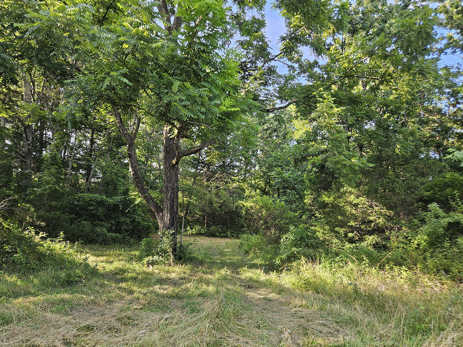 0 Sargent Road Property Photo 63